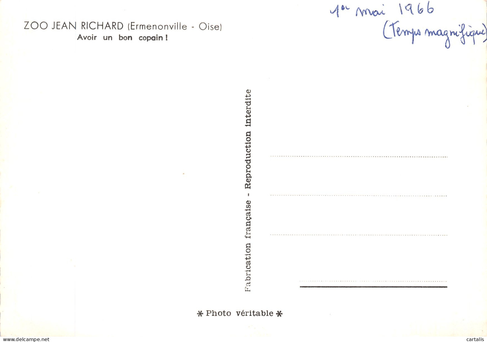 60-ERMENONVILLE -N° 4443-B/0319 - Ermenonville