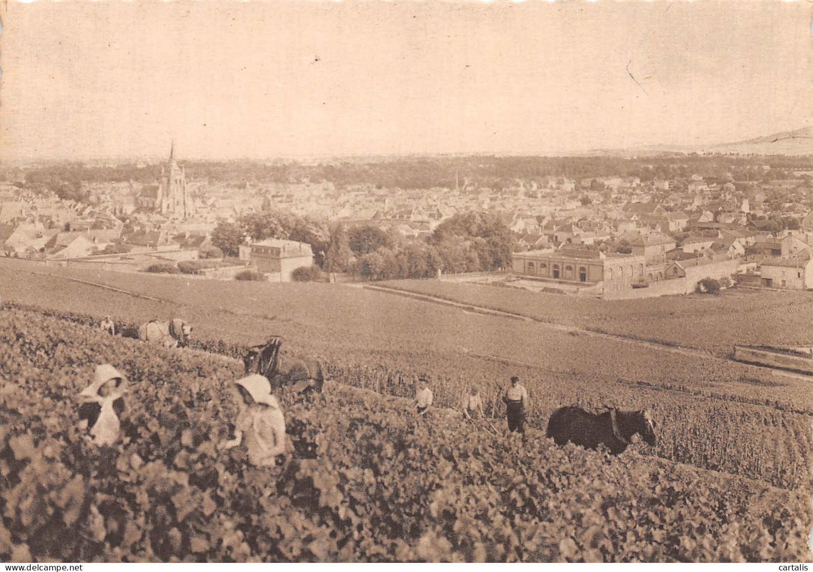 51-REIMS-N° 4443-B/0293 - Reims