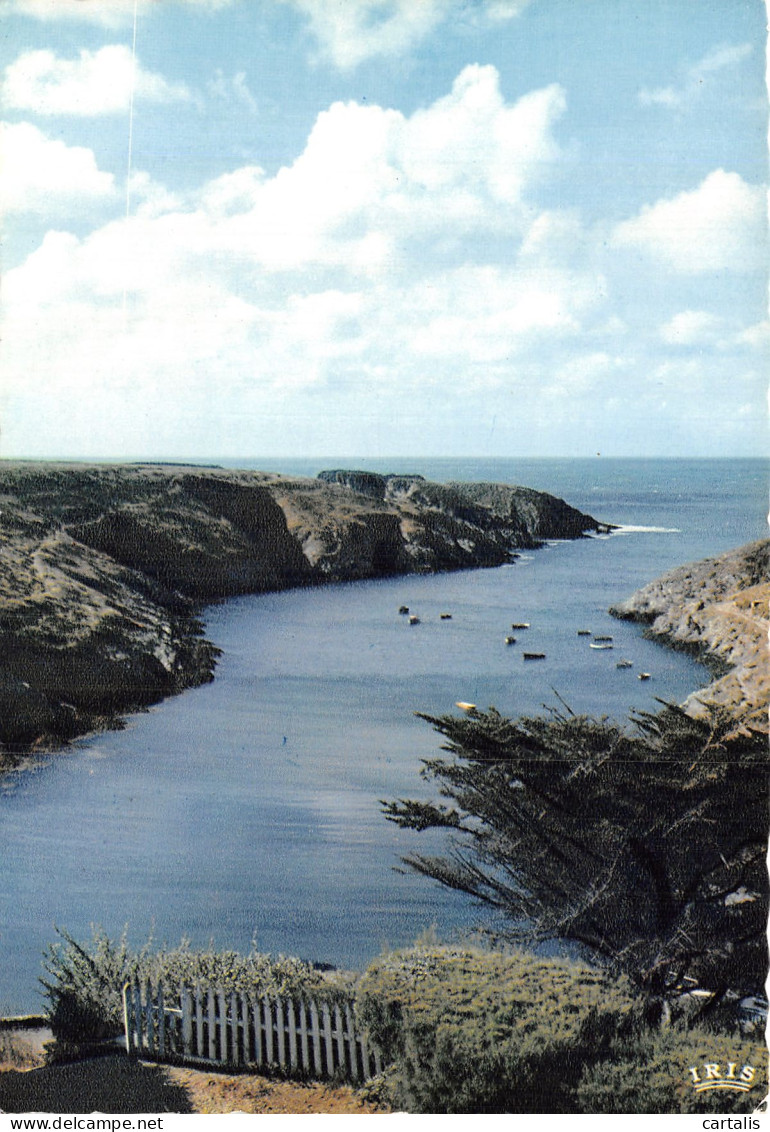 56-BELLE ILE EN MER-N° 4443-D/0325 - Belle Ile En Mer