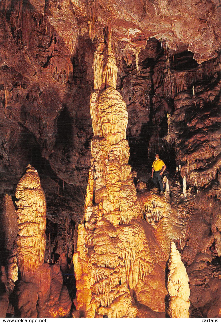 48-MEYRUEIS GROTTE DE DARGILAN-N° 4443-D/0293 - Meyrueis