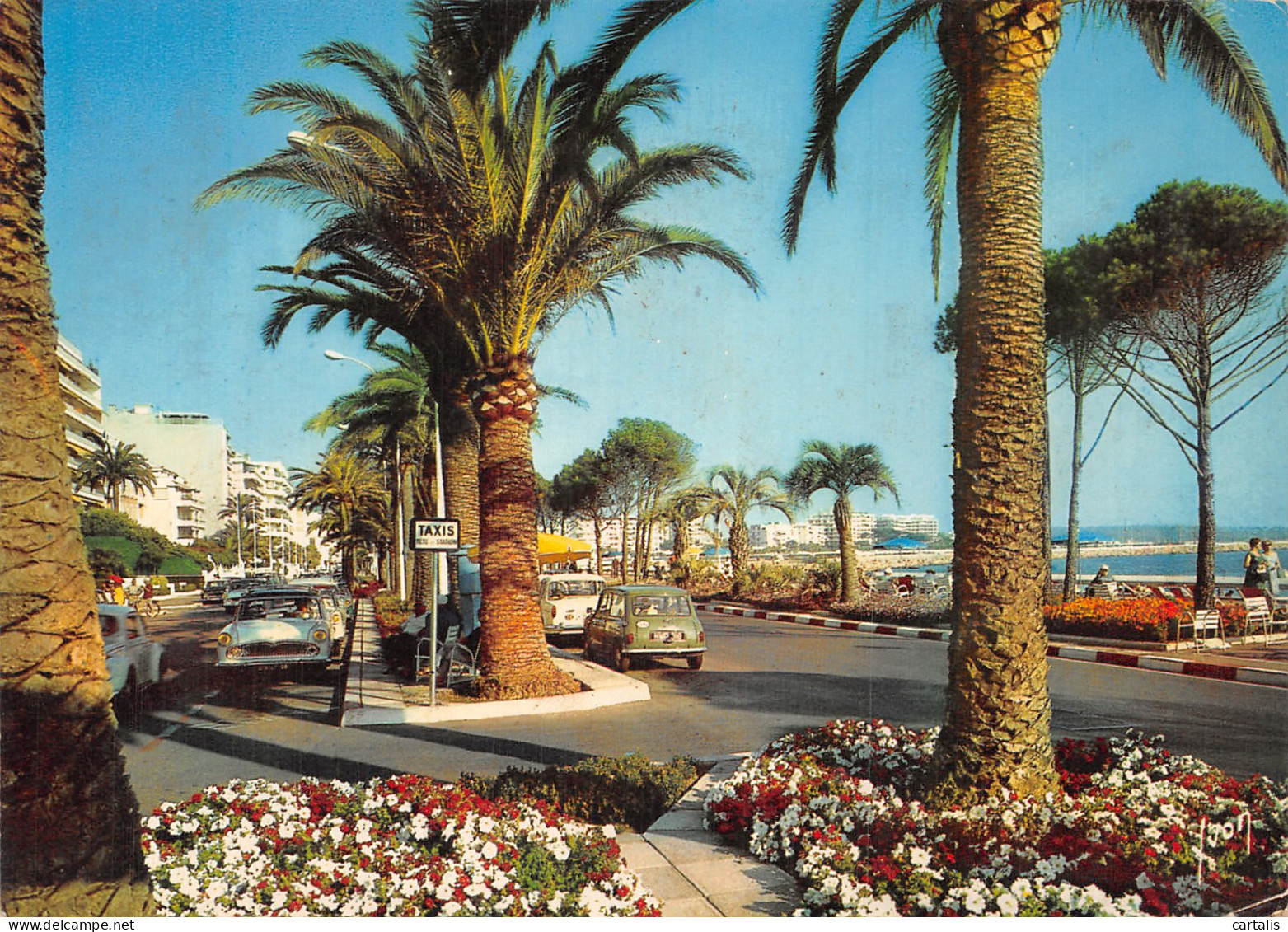 06-CANNES-N° 4443-D/0277 - Cannes