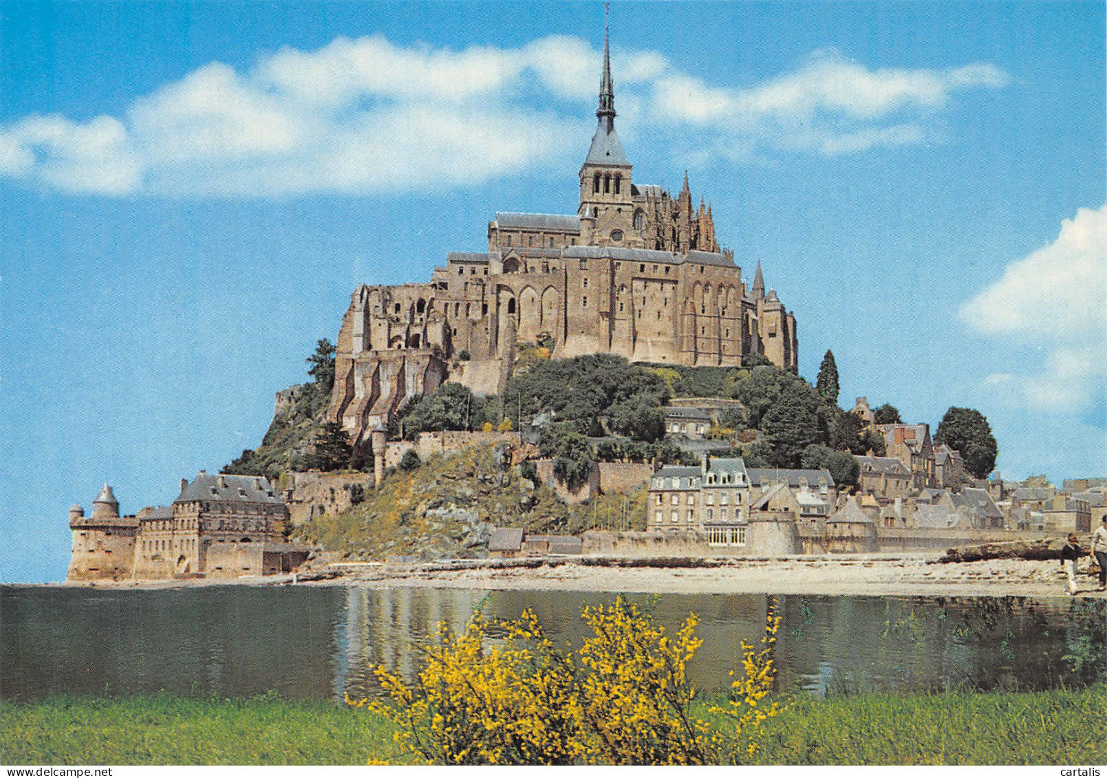 50-LE MONT SAINT MICHEL-N° 4444-D/0035 - Le Mont Saint Michel