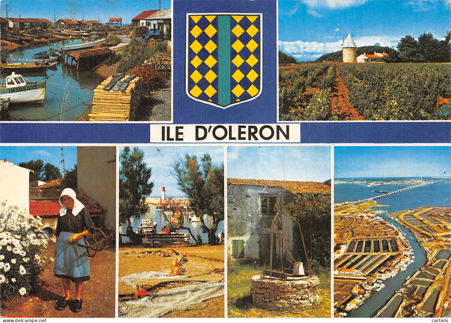 17-ILE D OLERON-N° 4444-C/0257 - Ile D'Oléron