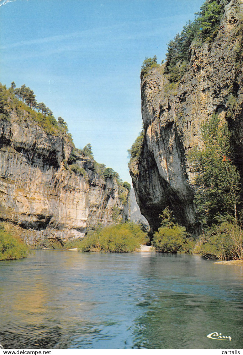 48-LES GORGES DU TARN LES DETROITS-N° 4445-A/0141 - Other & Unclassified