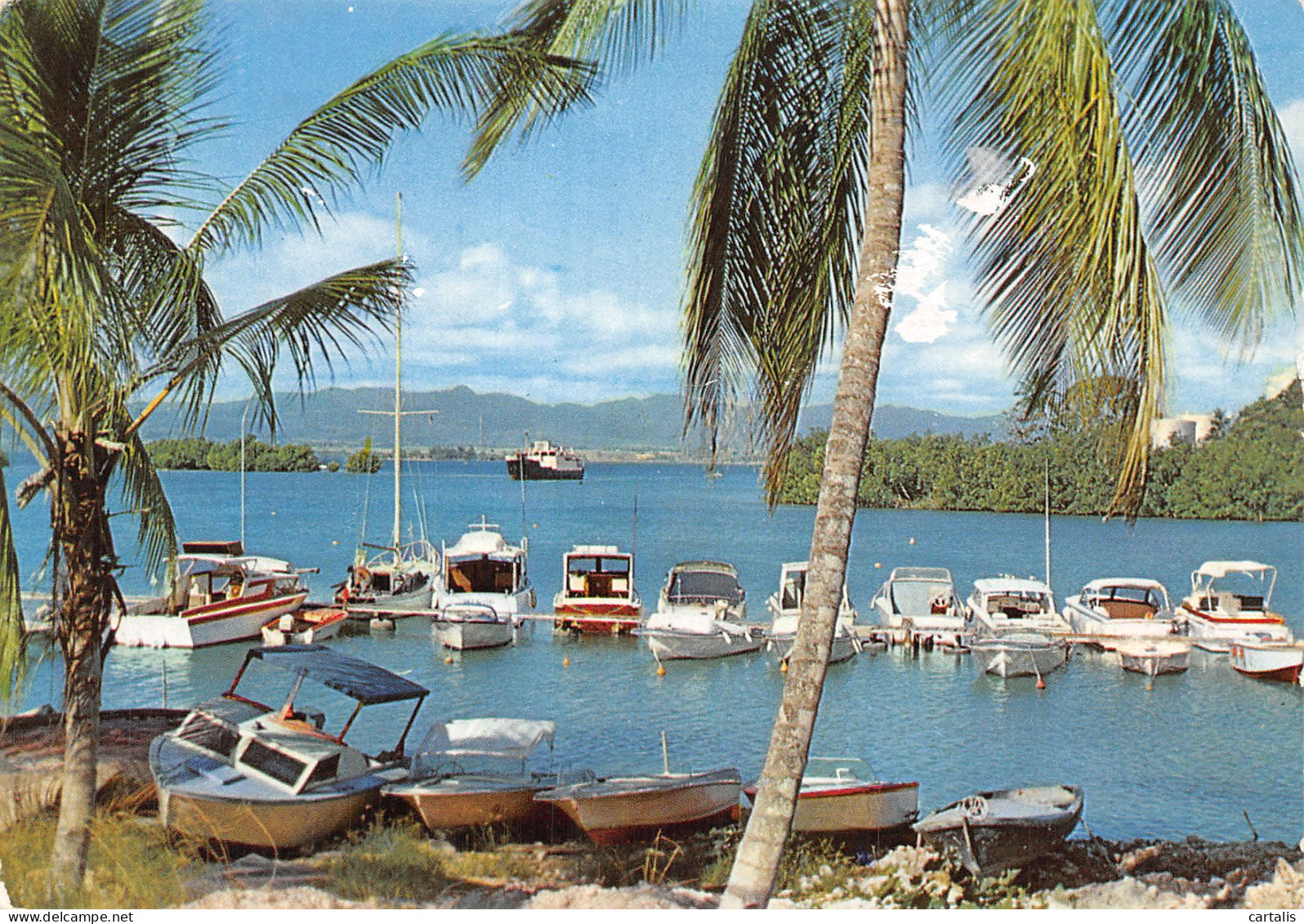 971-GUADELOUPE POINTE A PITRE-N° 4444-D/0317 - Autres & Non Classés