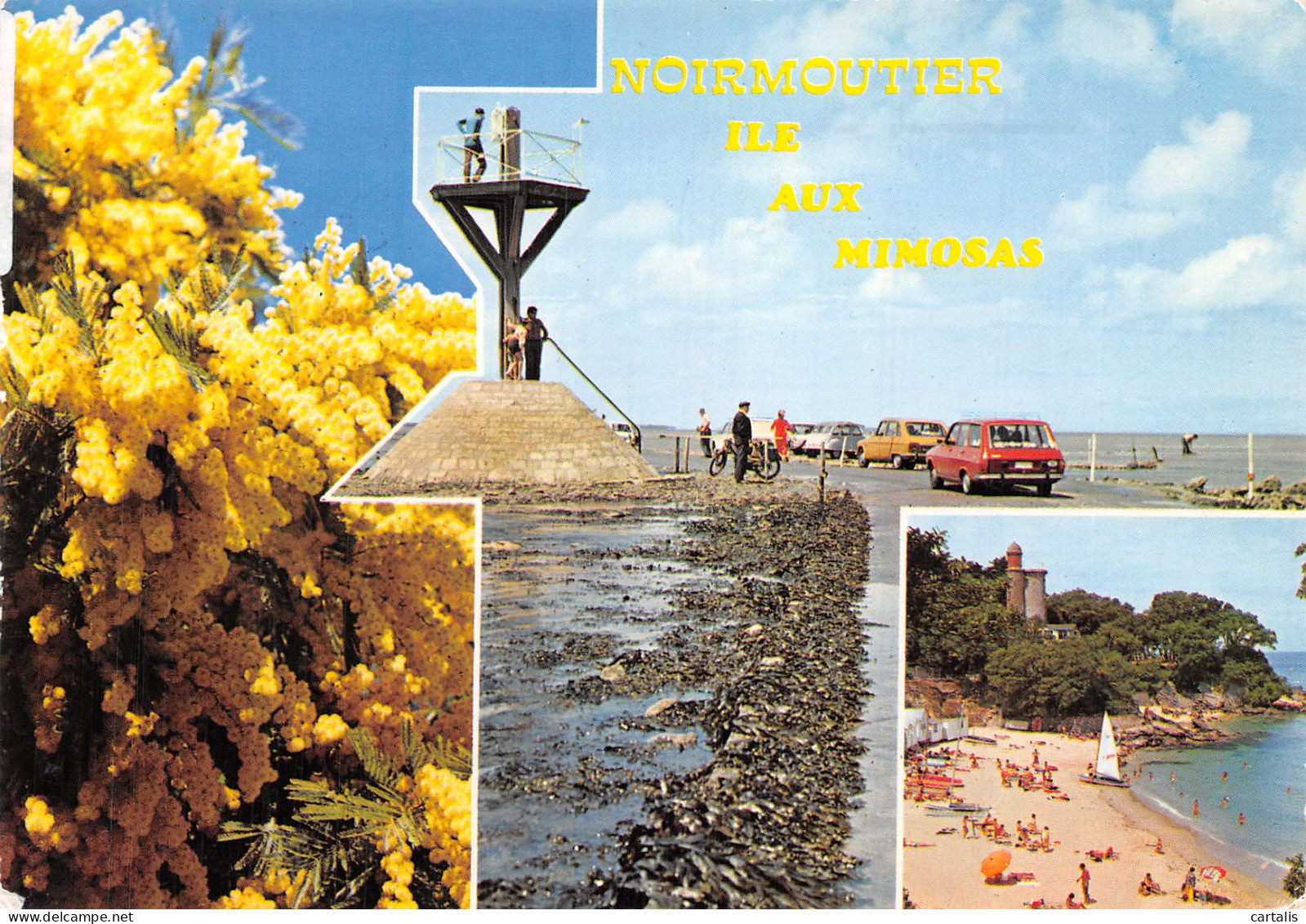 85-NOIRMOUTIER-N° 4445-C/0173 - Noirmoutier