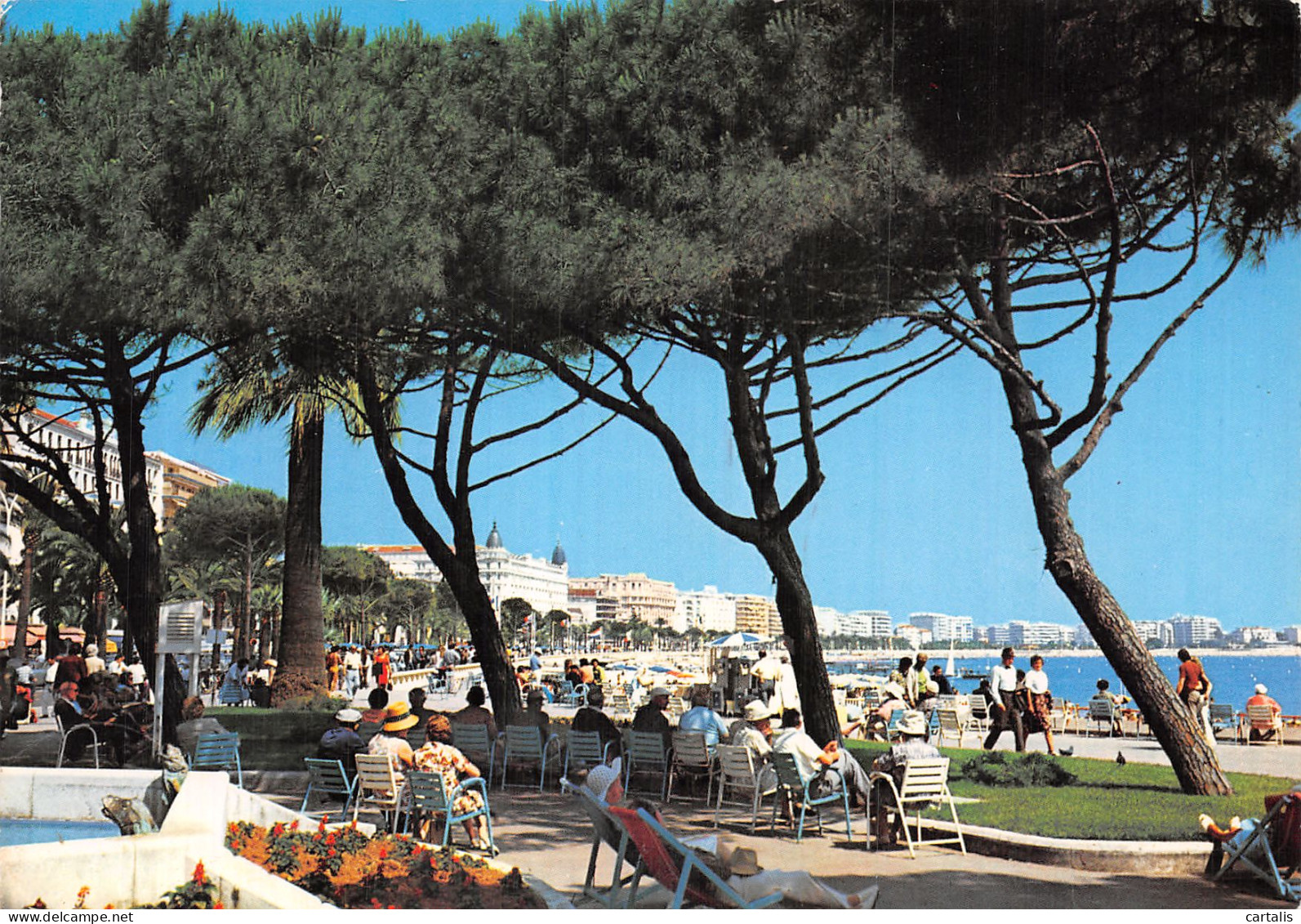 06-CANNES-N° 4445-C/0111 - Cannes