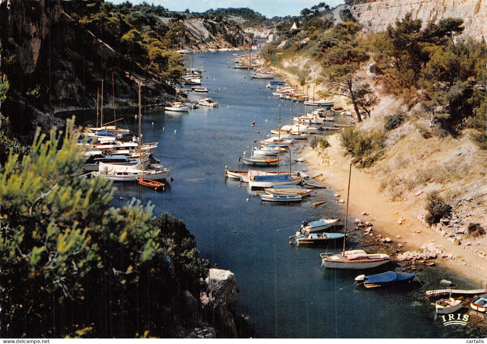 13-CASSIS SUR MER-N° 4445-B/0397 - Cassis