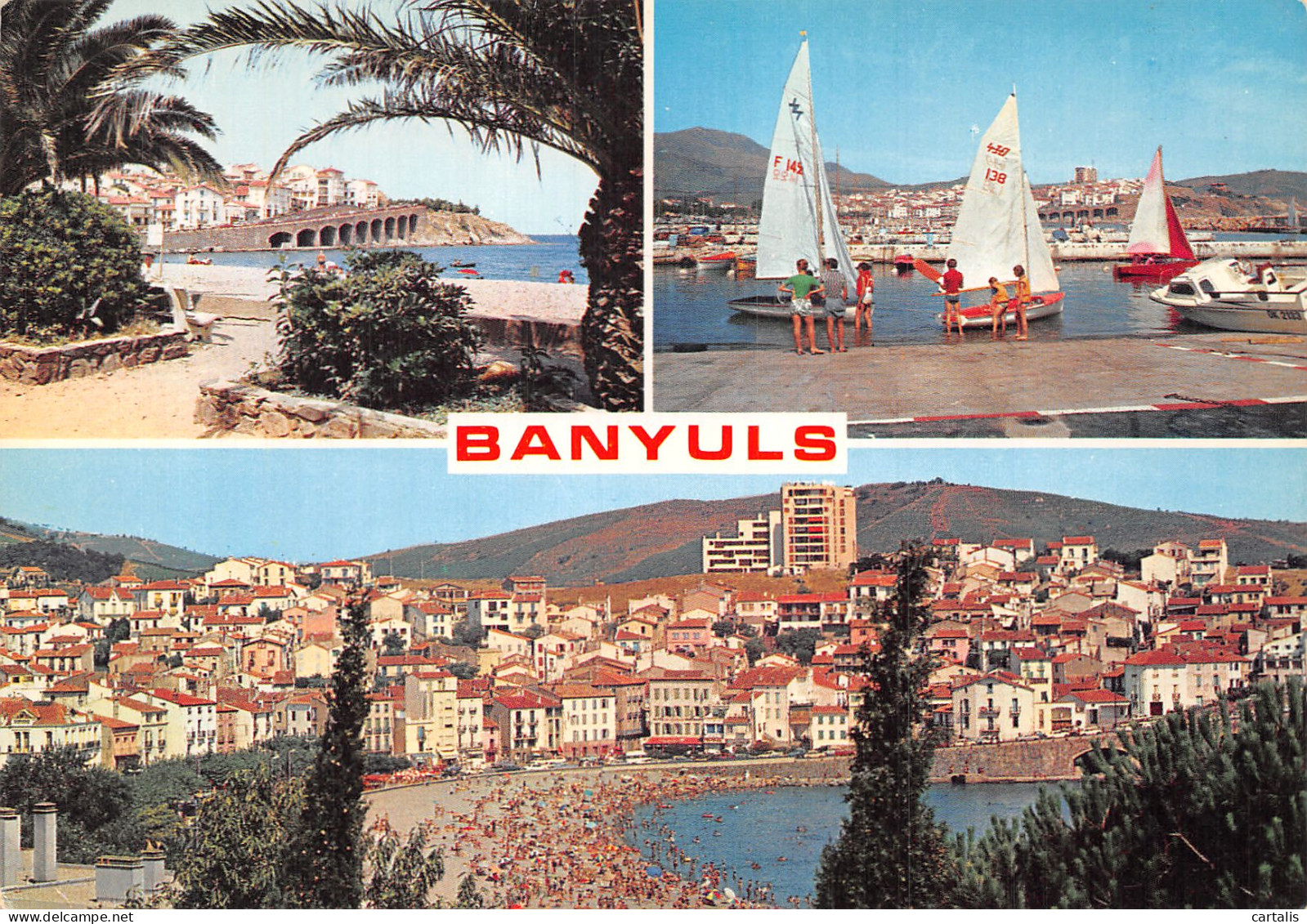 66-BANYULS SUR MER-N° 4445-B/0249 - Banyuls Sur Mer