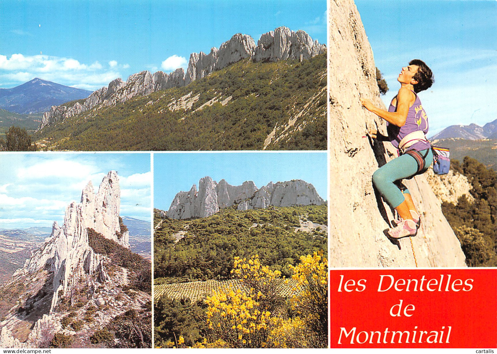 84-LES DENTELLES DE MONTMIRAIL-N° 4445-B/0061 - Other & Unclassified