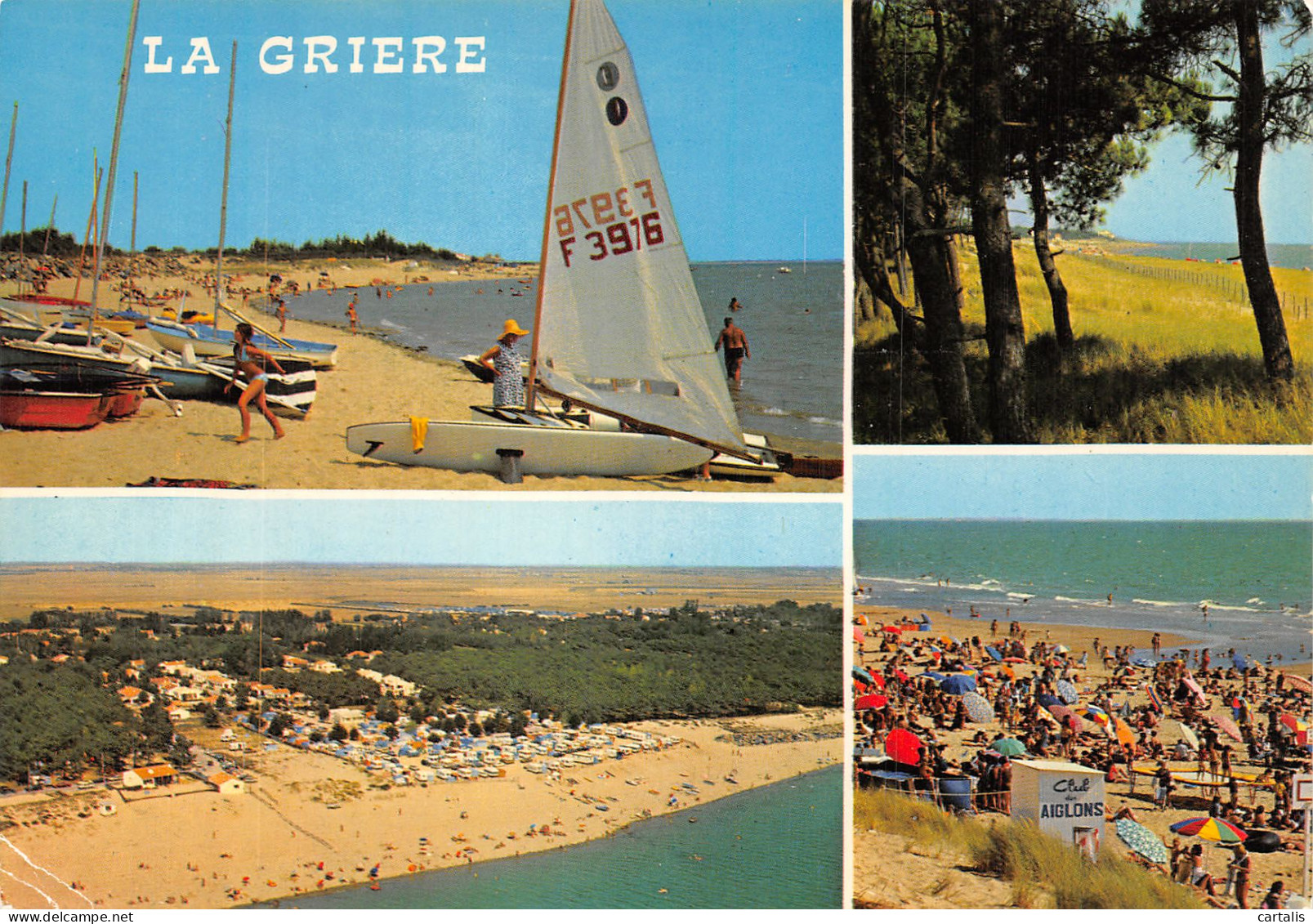 85-LA TRANCHE SUR MER LA GRIERE-N° 4446-A/0313 - La Tranche Sur Mer