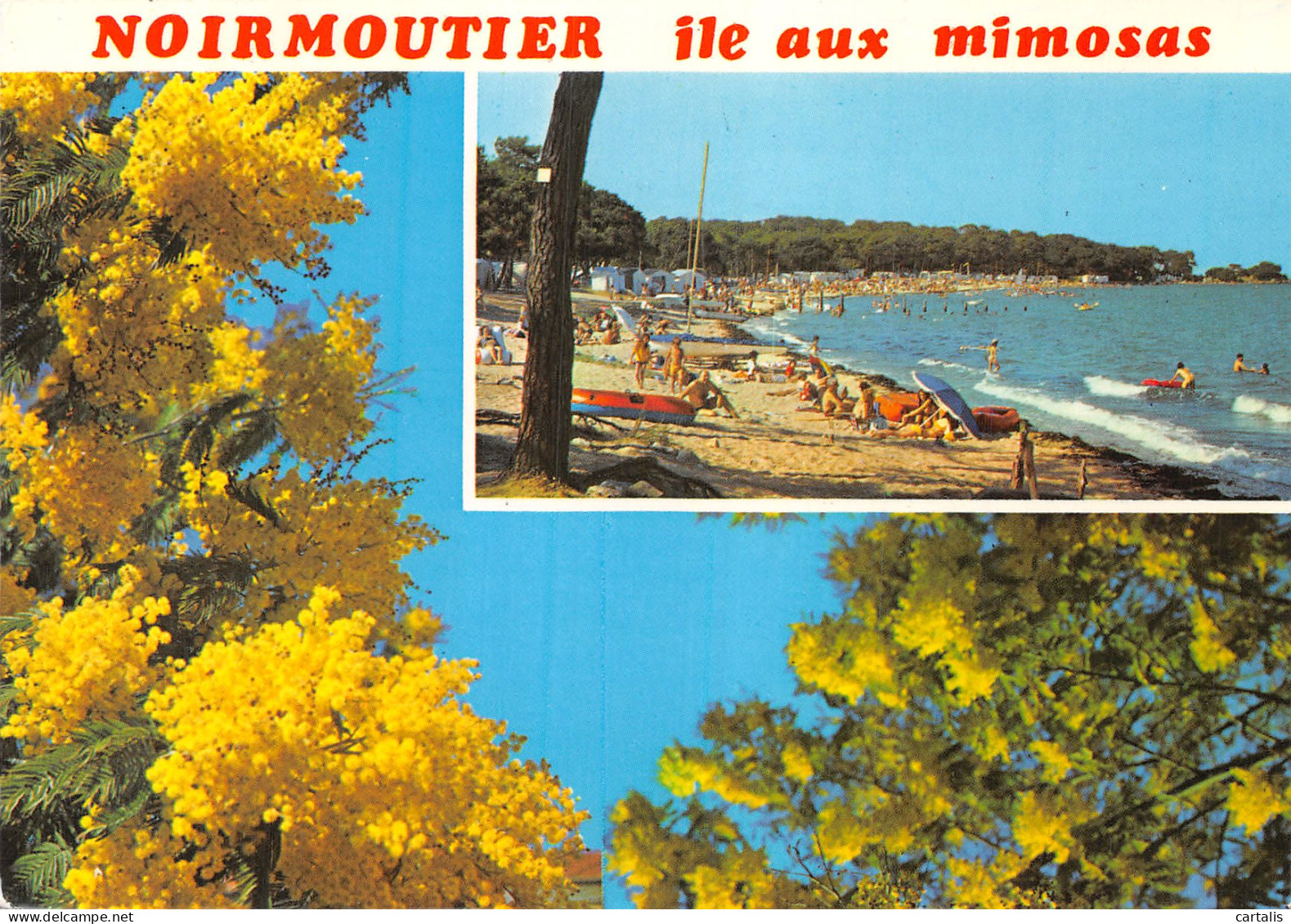 85-NOIRMOUTIER-N° 4446-A/0309 - Noirmoutier