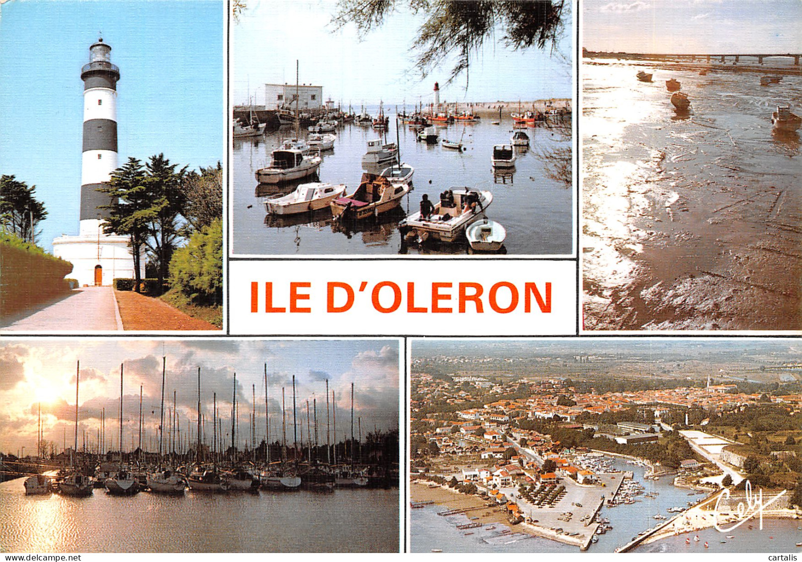 17-ILE D OLERON-N° 4446-A/0017 - Ile D'Oléron