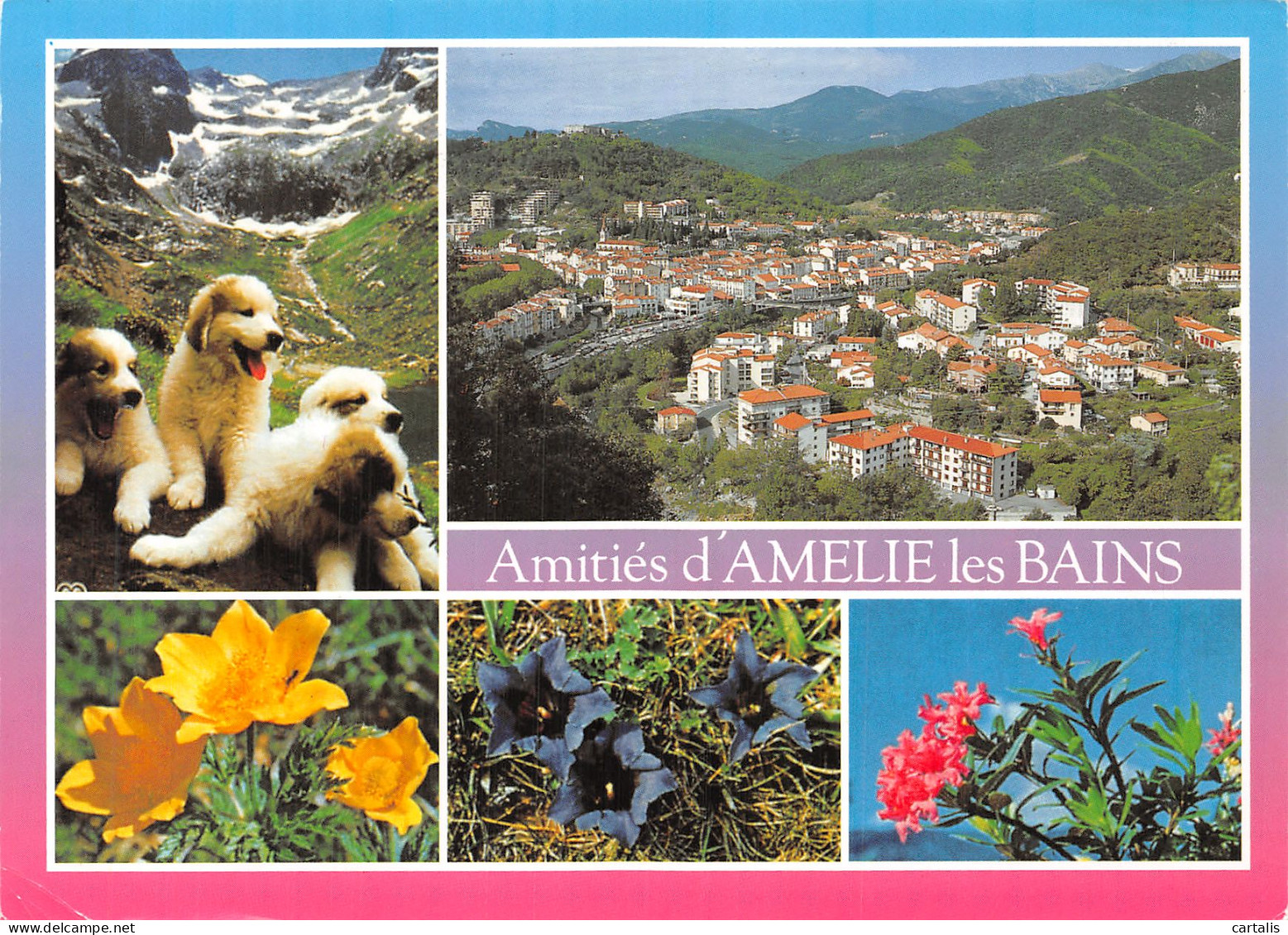 66-AMELIE LES BAINS-N° 4446-C/0067 - Sonstige & Ohne Zuordnung