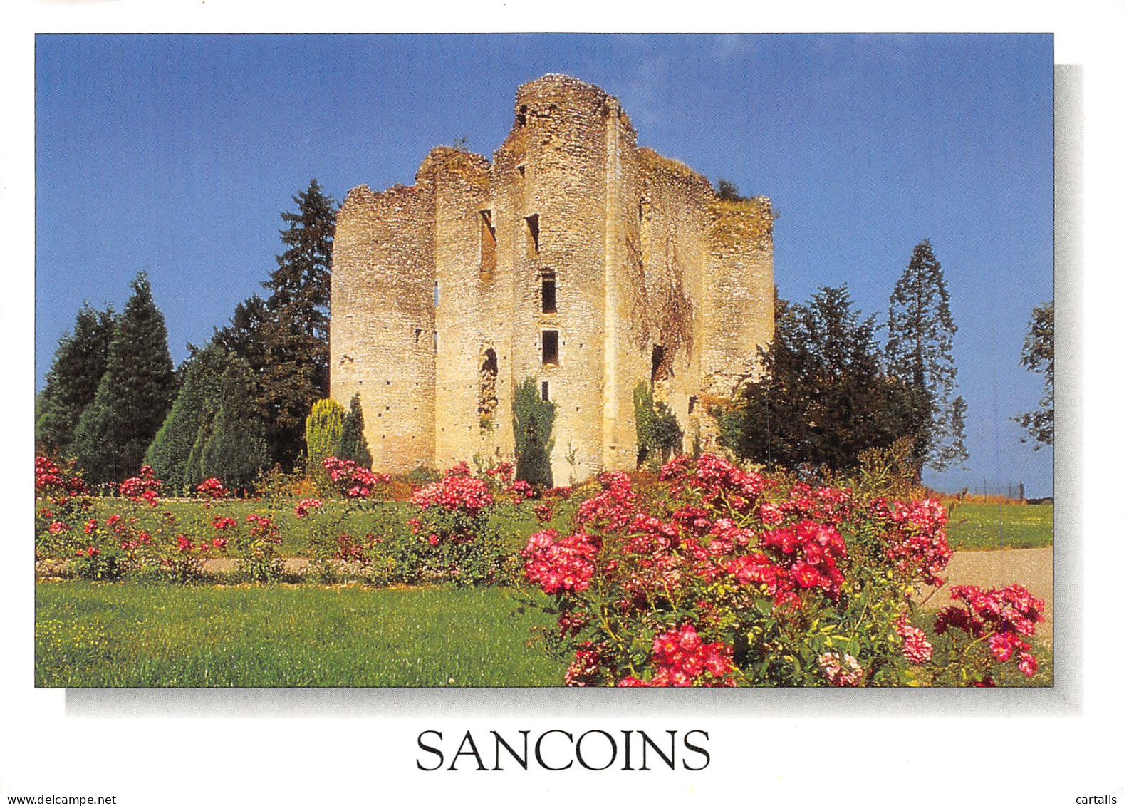 18-SANCOINS-N° 4446-B/0275 - Sancoins