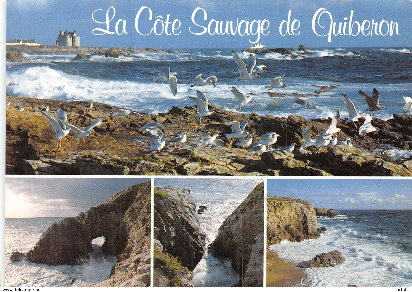 56-QUIBERON-N° 4447-A/0149 - Quiberon