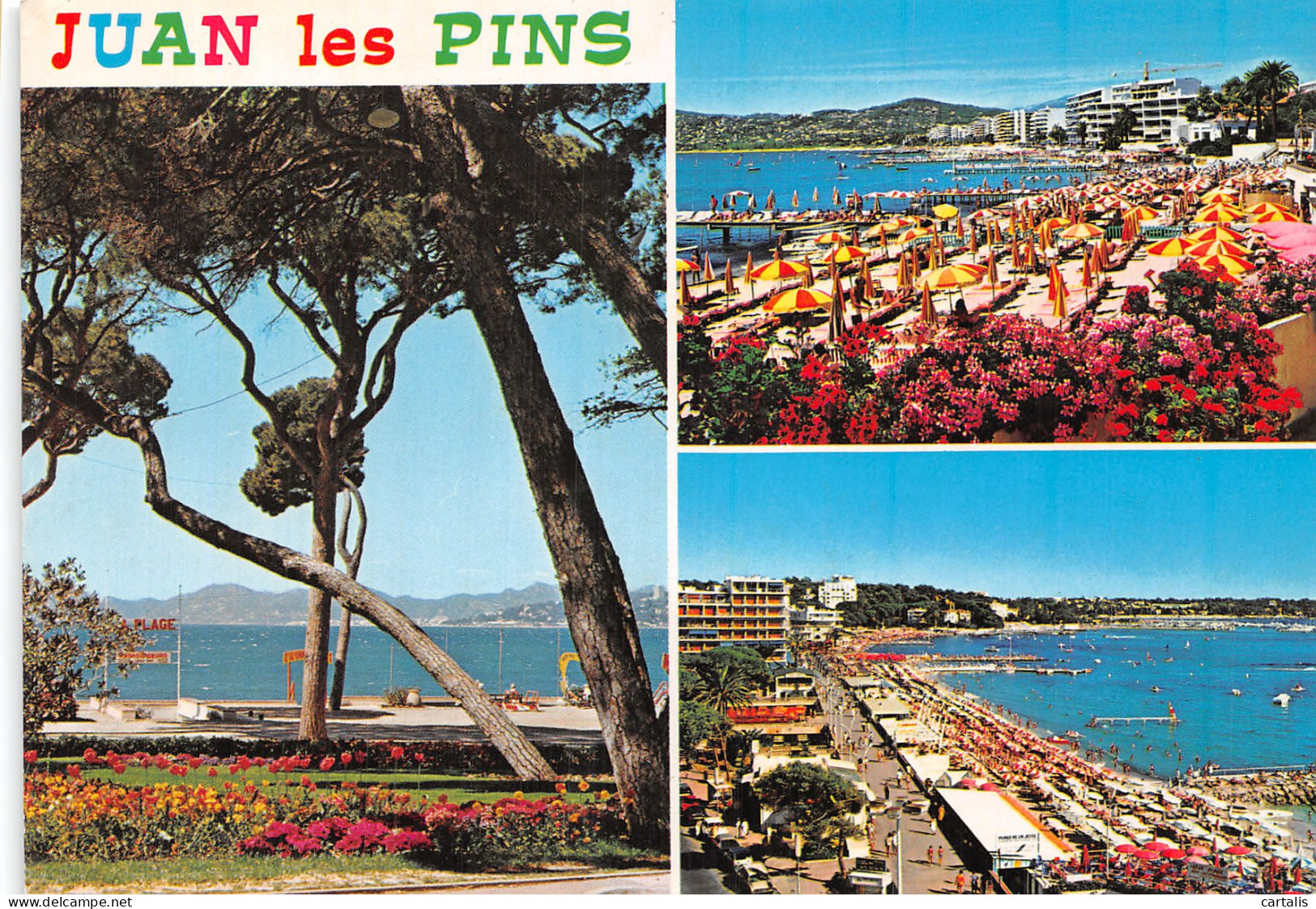 06-JUAN LES PINS-N° 4447-A/0087 - Juan-les-Pins