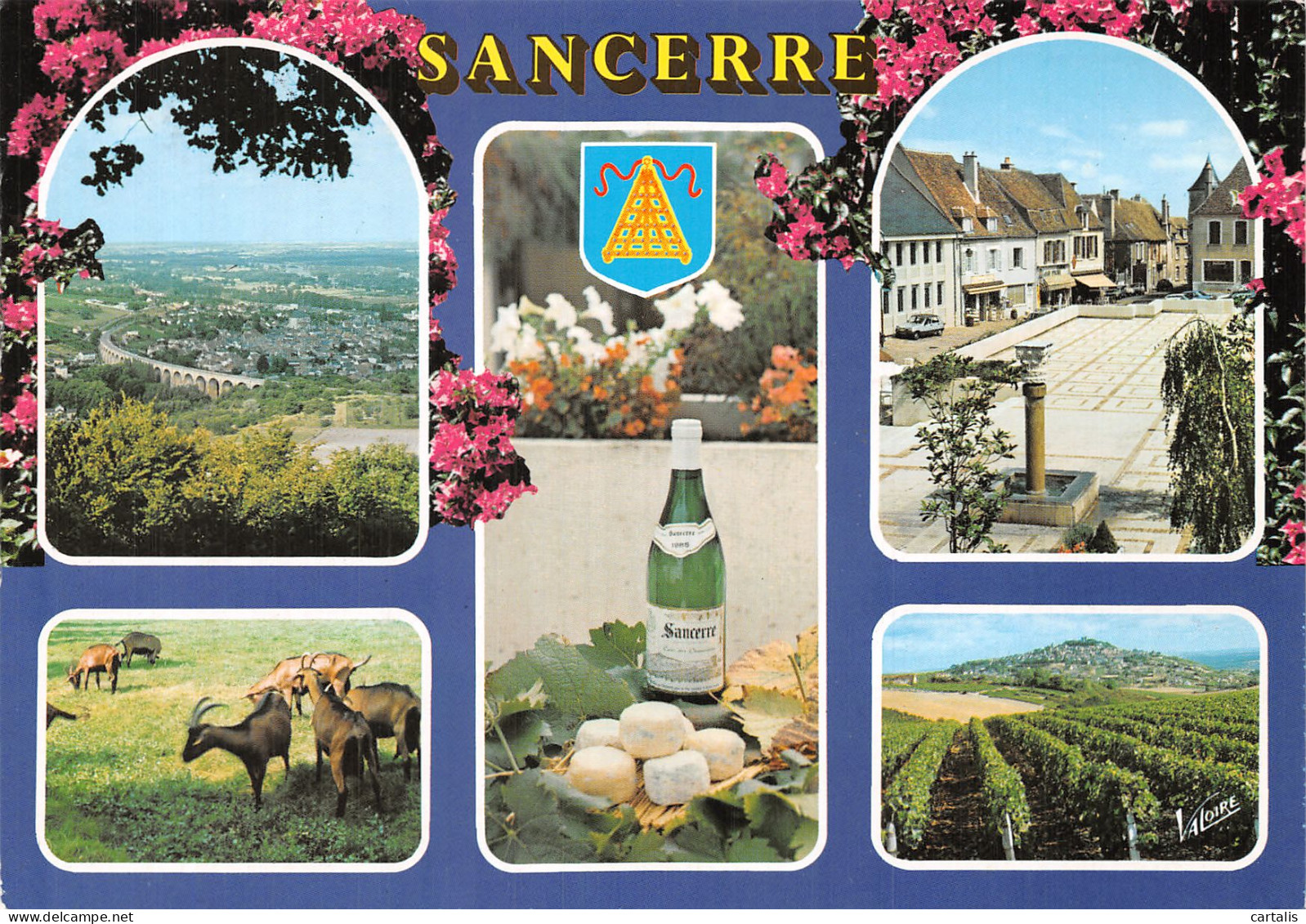 18-SANCERRE-N° 4446-D/0385 - Sancerre