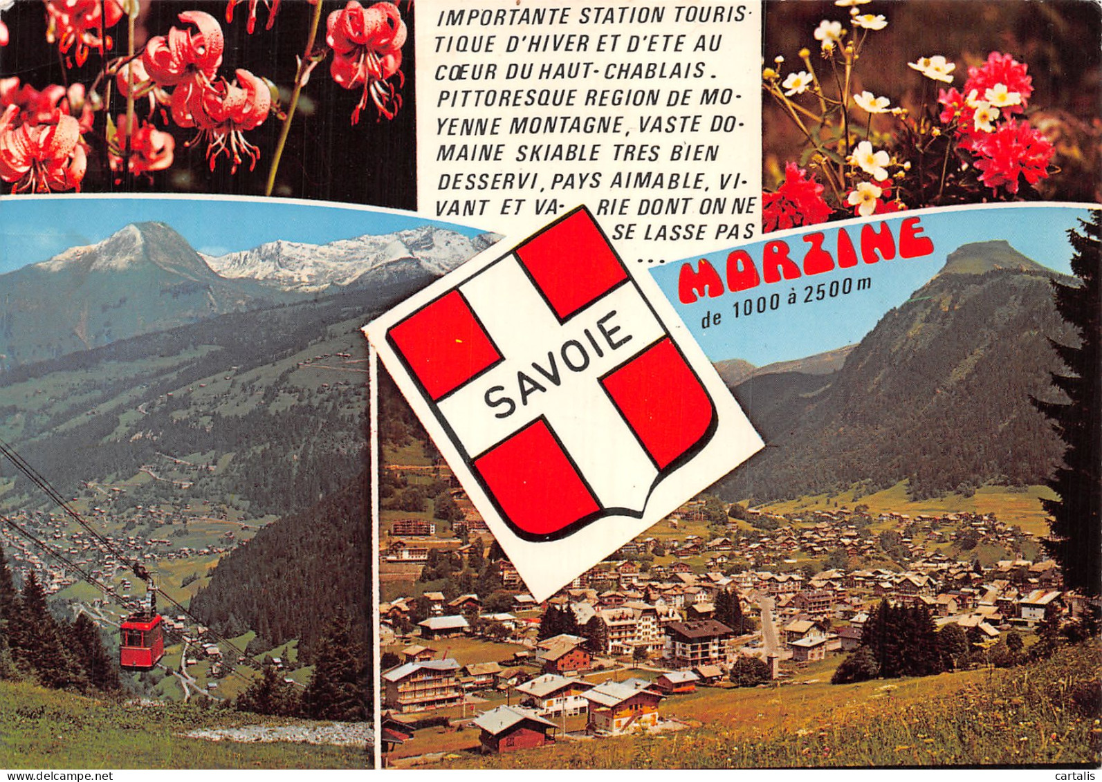 74-MORZINE-N° 4447-D/0295 - Morzine