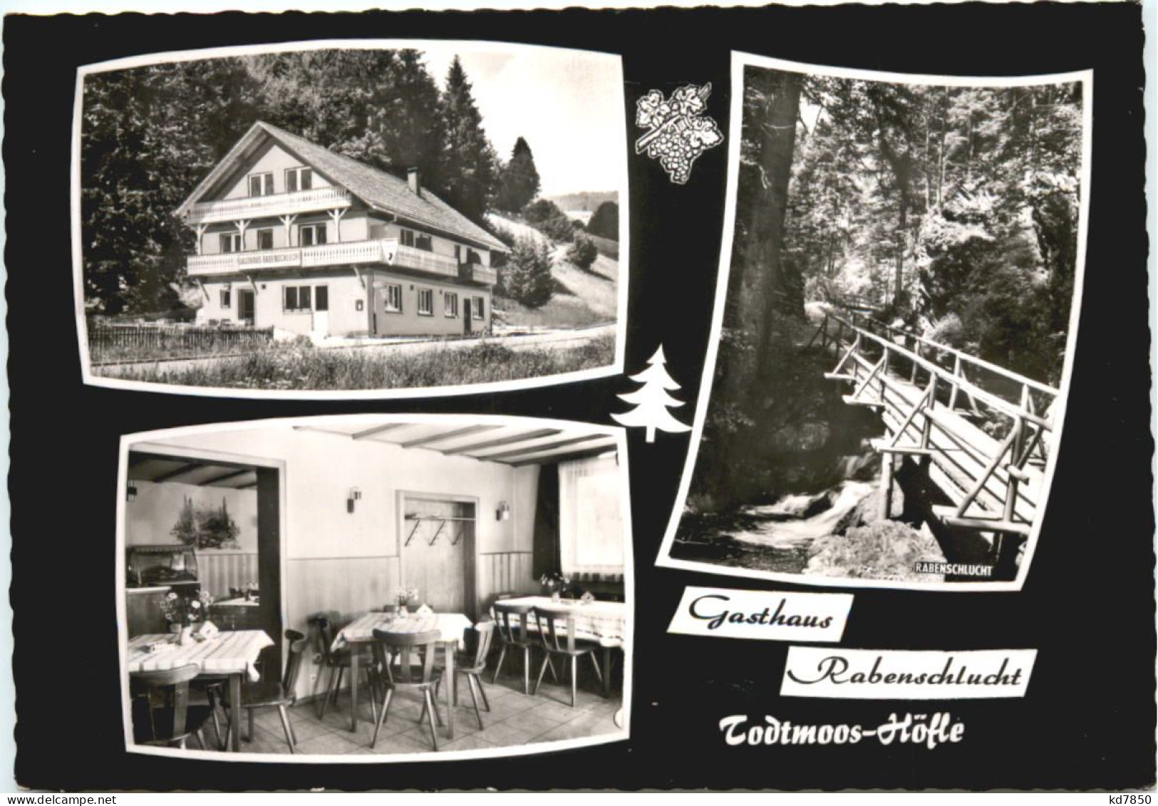 Todtmoos Höfle - Gasthaus Rabenschlucht - Todtmoos