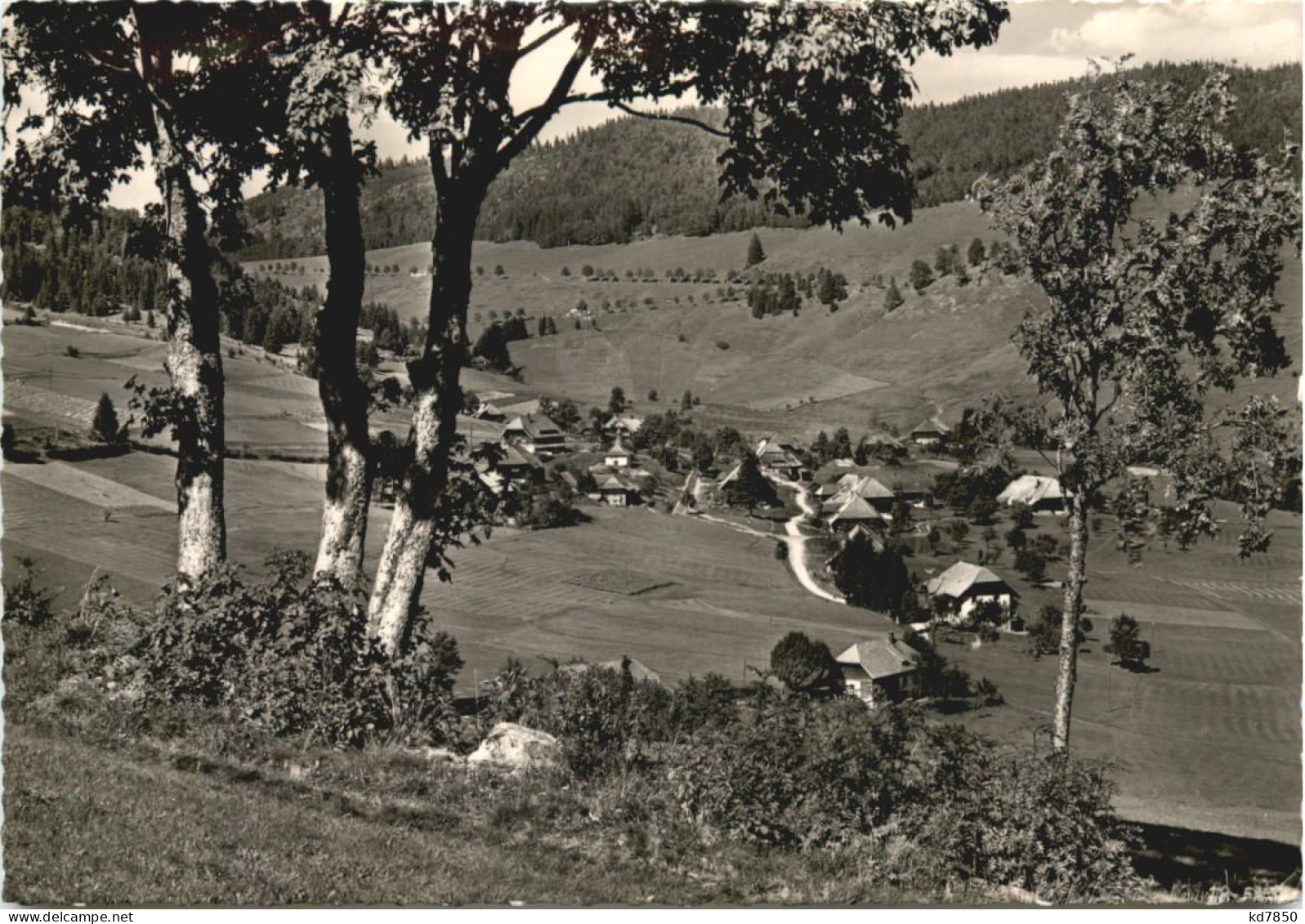 Todtmoos-Weg Schwarzwald - Todtmoos