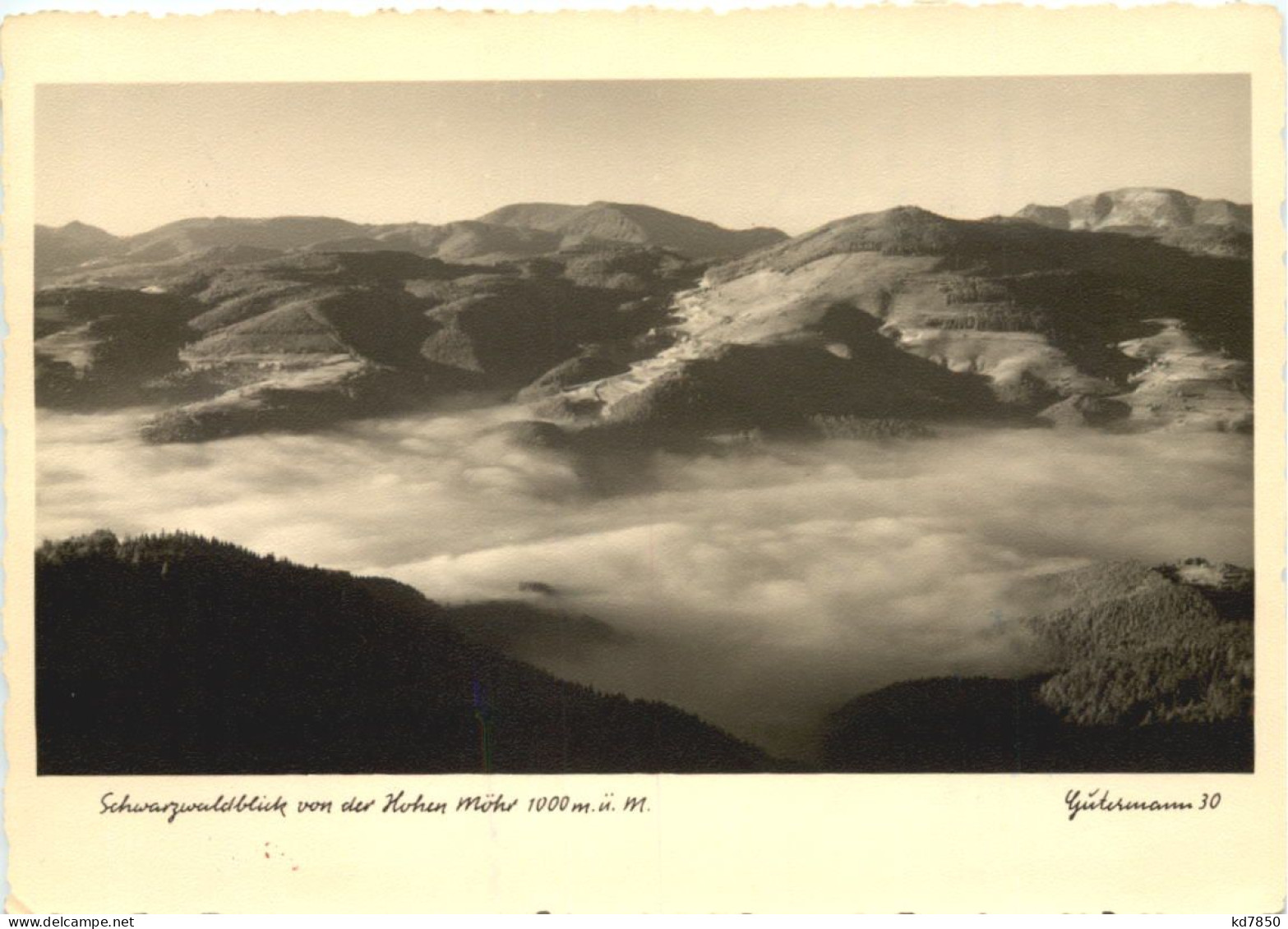 Schwarzwaldblick Von Der Hohen Möhr - Loerrach