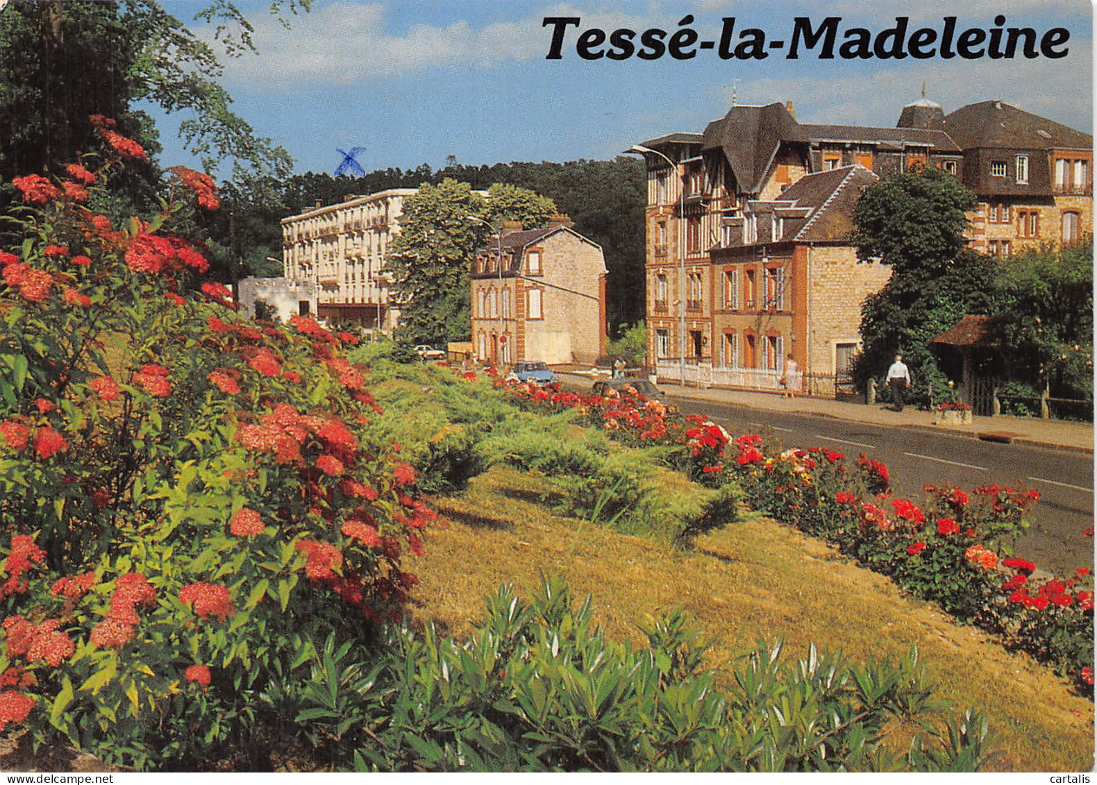 61-TESSE LA MADELEINE-N° 4447-C/0171 - Other & Unclassified
