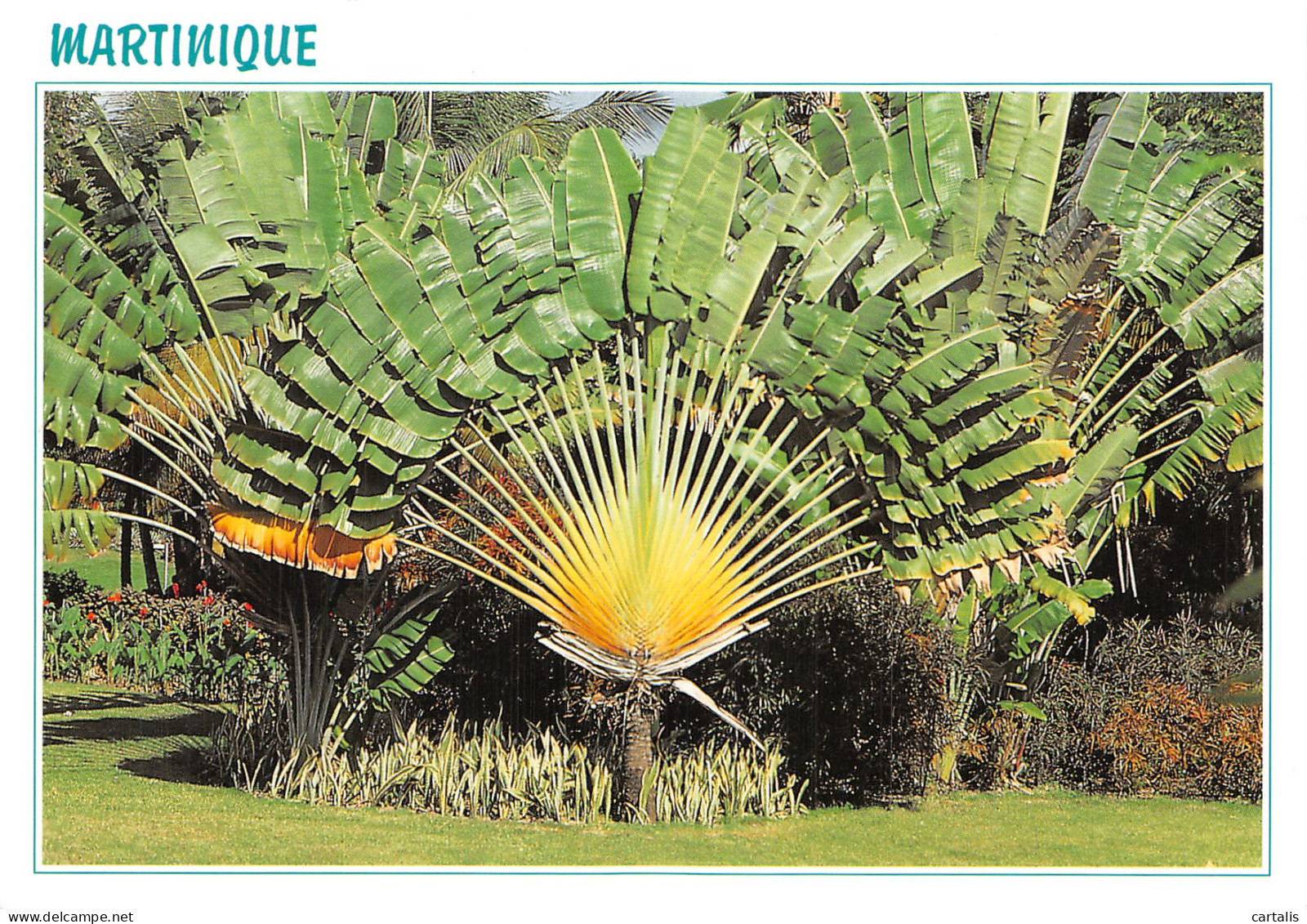 972-MARTINIQUE FORT DE FRANCE-N° 4448-A/0357 - Altri & Non Classificati