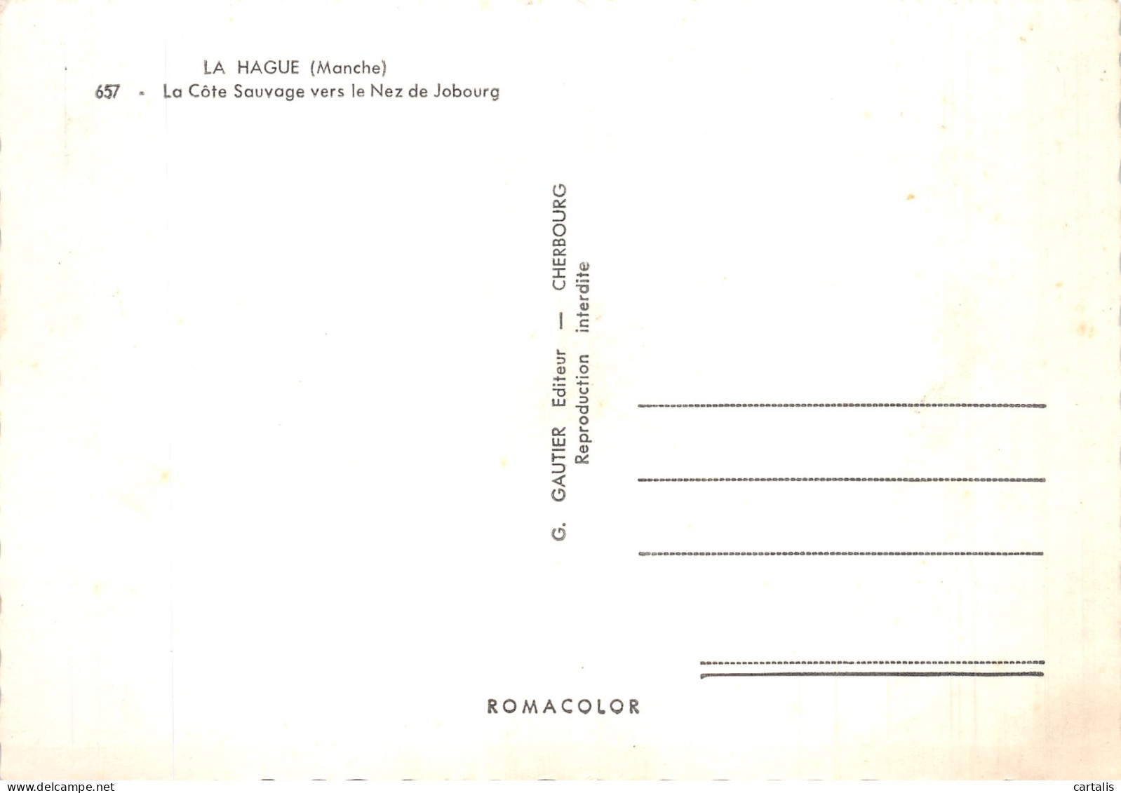 50-LA HAGUE-N° 4448-A/0169 - Other & Unclassified