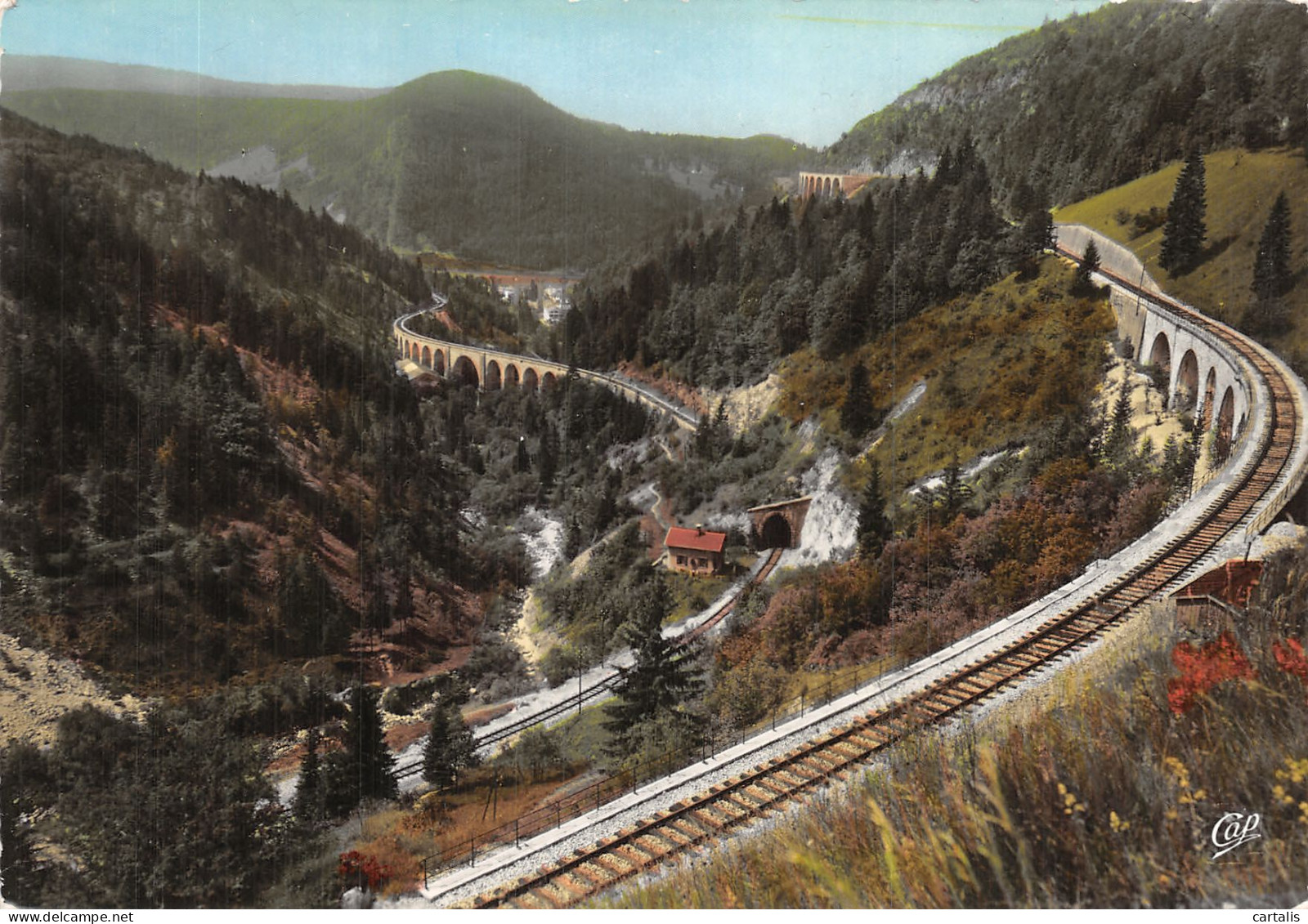 39-MOREZ-N° 4448-C/0015 - Morez