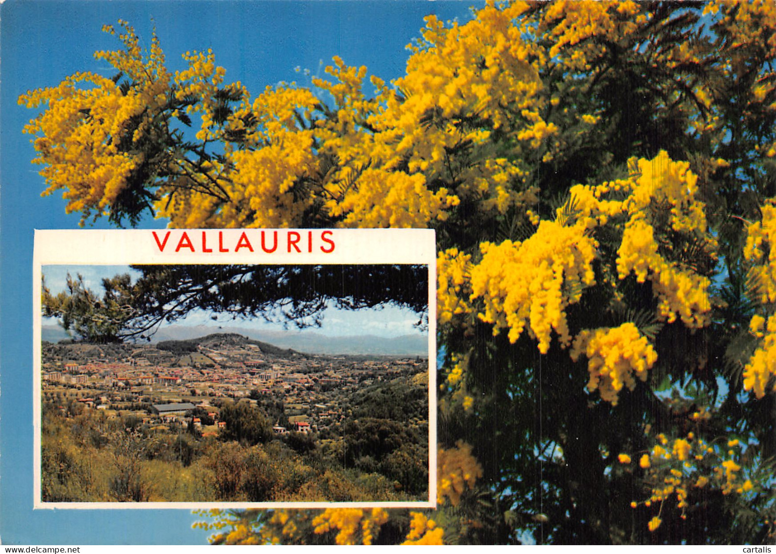 06-VALLAURIS-N° 4448-B/0343 - Vallauris