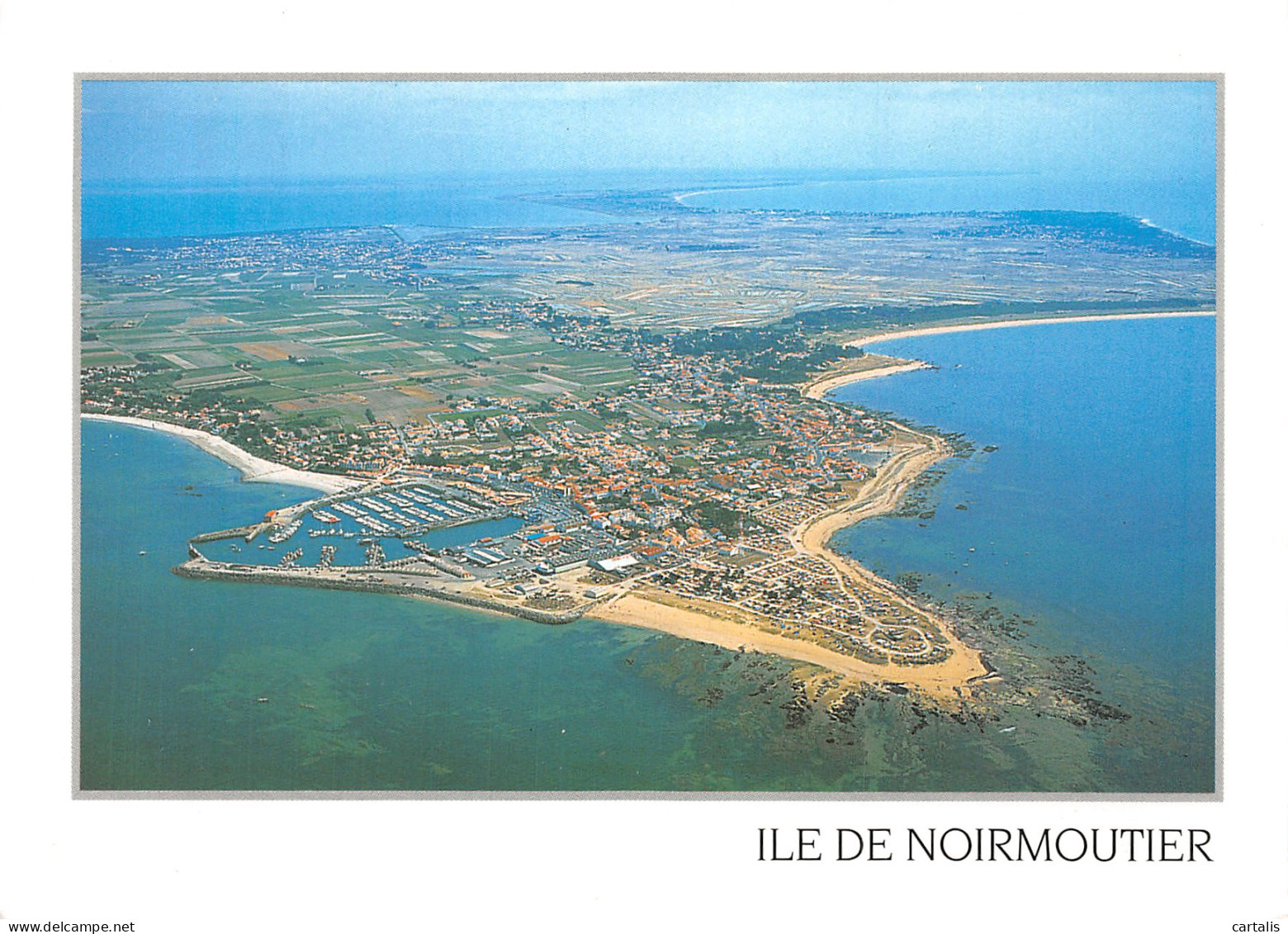 85-ILE DE NOIRMOUTIER-N° 4448-B/0221 - Ile De Noirmoutier