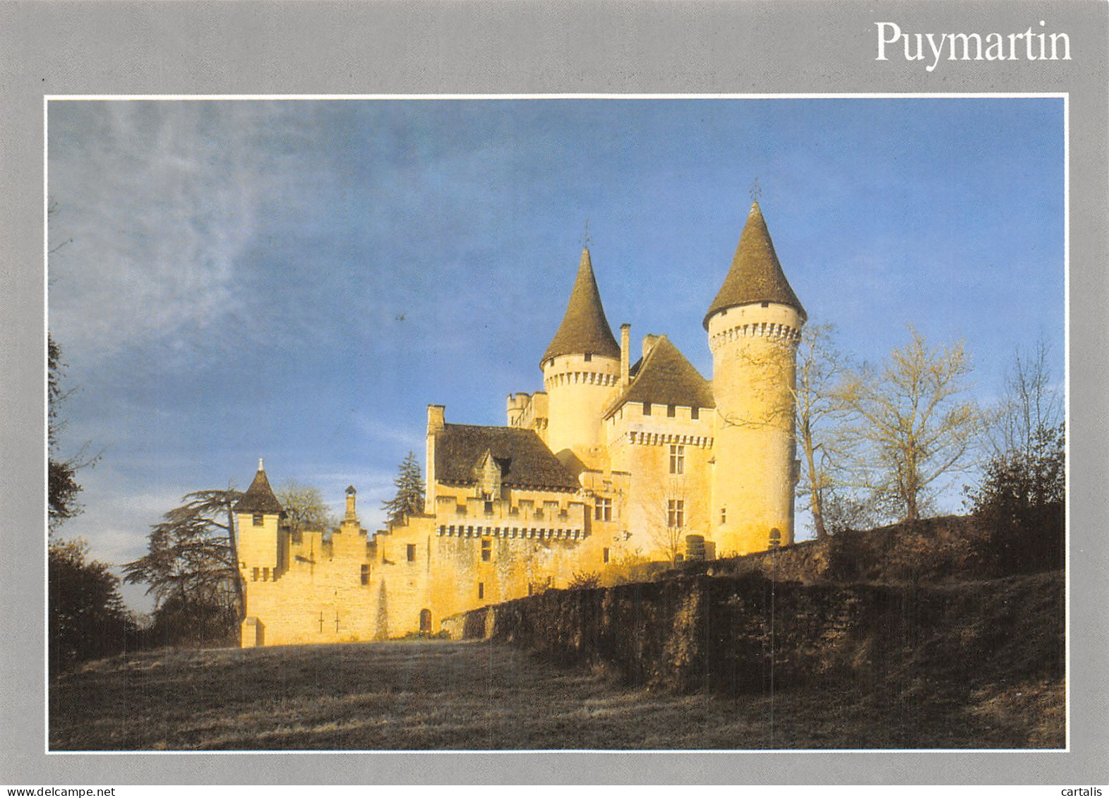 24-LE CHATEAU DE PUYMARTIN-N° 4448-B/0233 - Autres & Non Classés