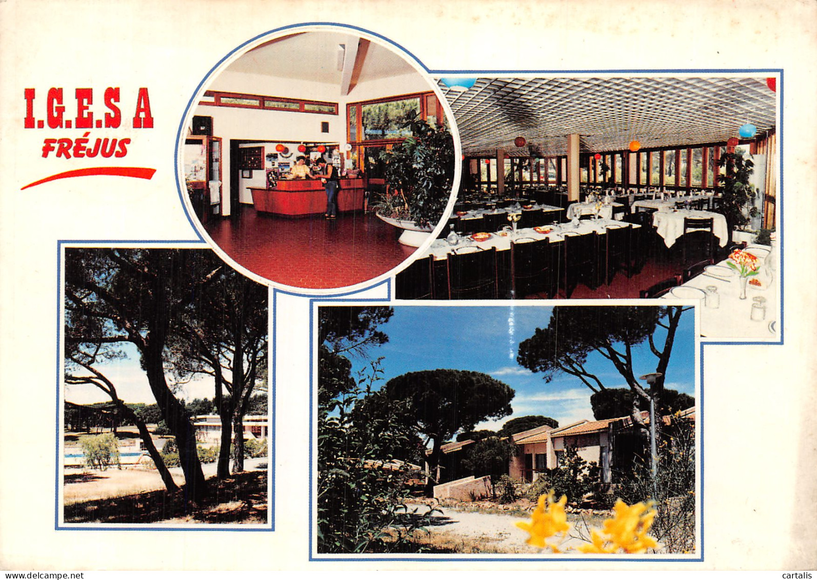 83-FREJUS-N° 4449-D/0133 - Frejus