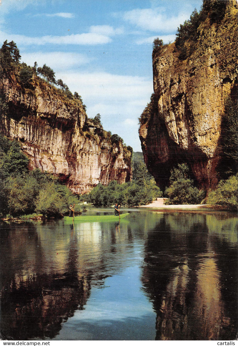 48-GORGES DU TARN-N° 4449-C/0269 - Gorges Du Tarn