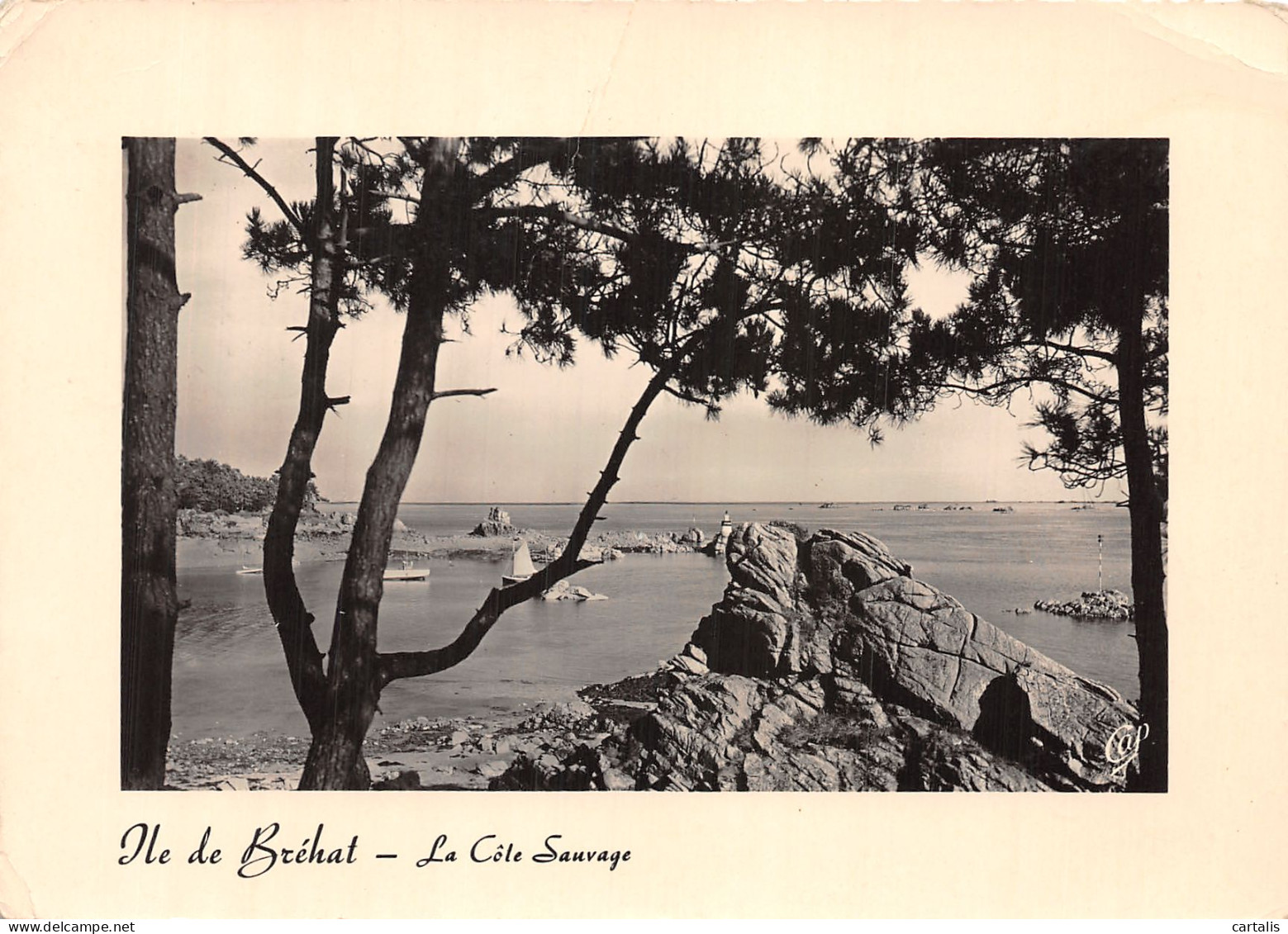 22-ILE DE BREHAT-N° 4449-C/0189 - Ile De Bréhat