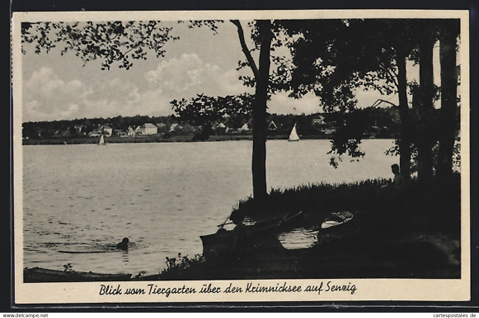 AK Senzig, Blick Vom Tiergarten über Den Krimnicksee  - Sonstige & Ohne Zuordnung