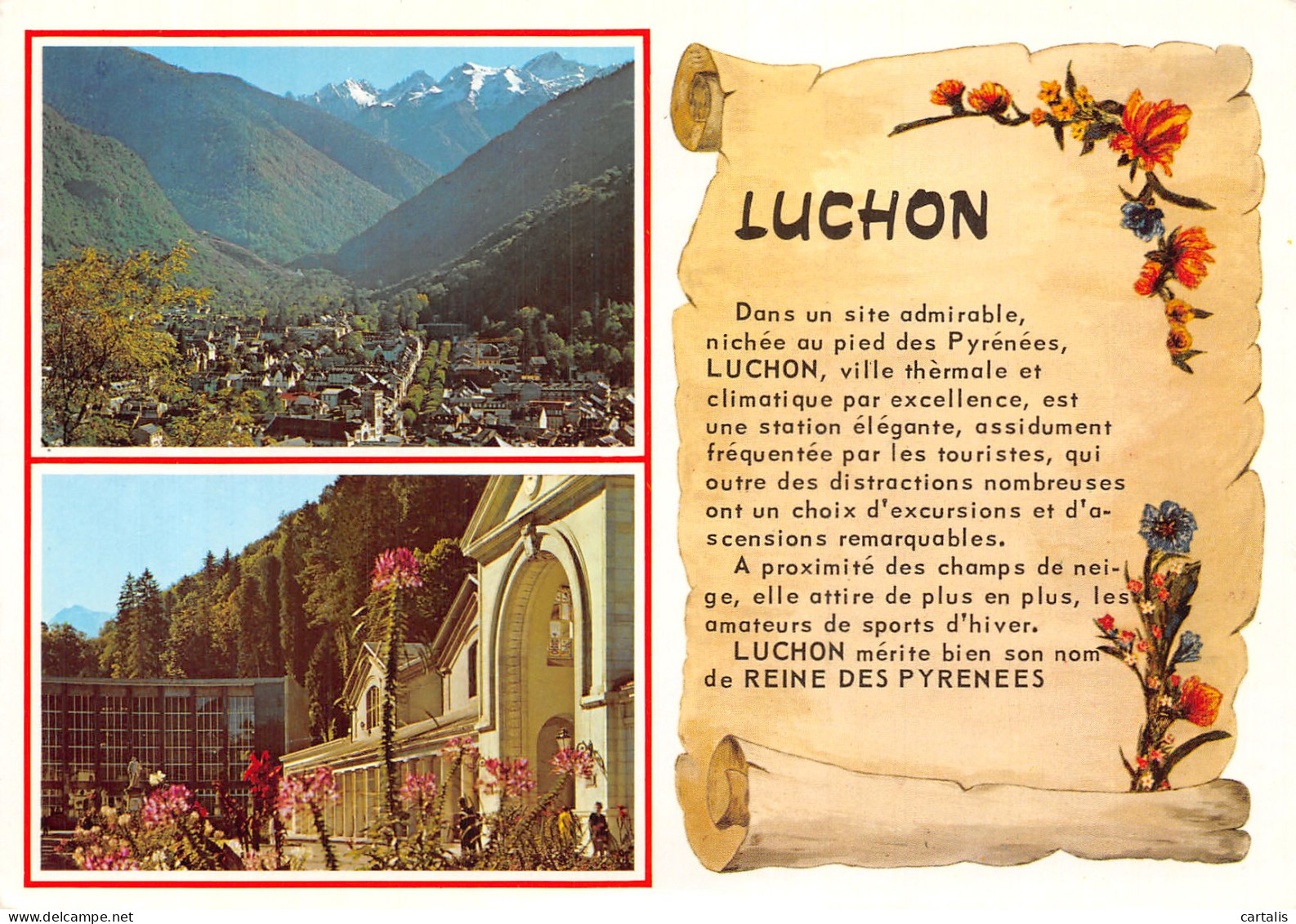 31-LUCHON-N° 4450-B/0295 - Luchon