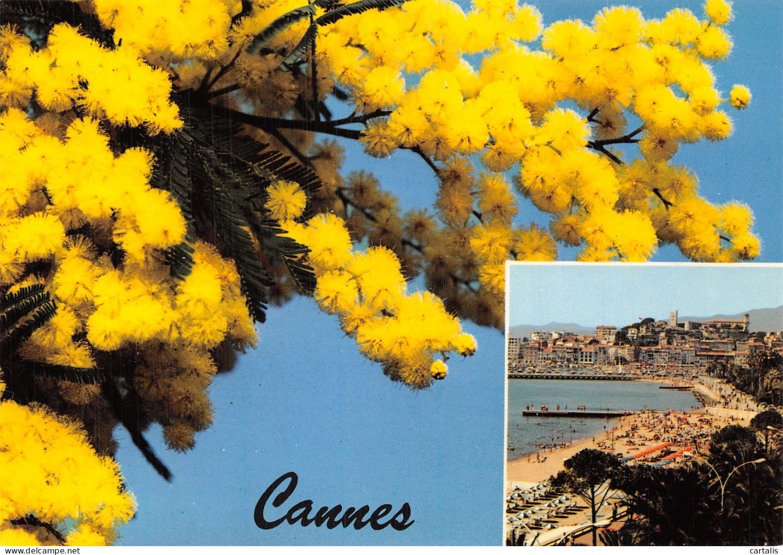 06-CANNES-N° 4450-B/0267 - Cannes