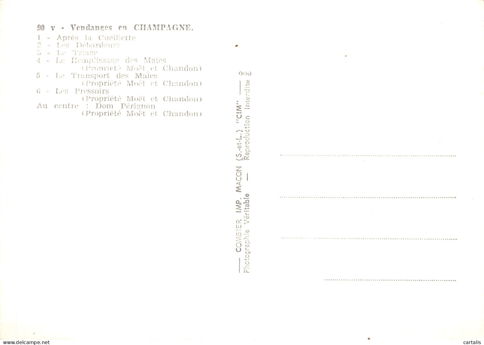 51-VENDANGES EN CHAMPAGNE-N° 4450-B/0041 - Other & Unclassified