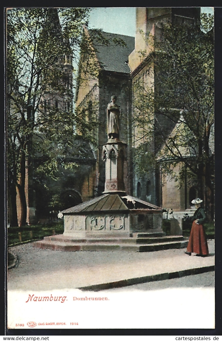 AK Naumburg / Saale, Dombrunnen Mit Dom  - Naumburg (Saale)