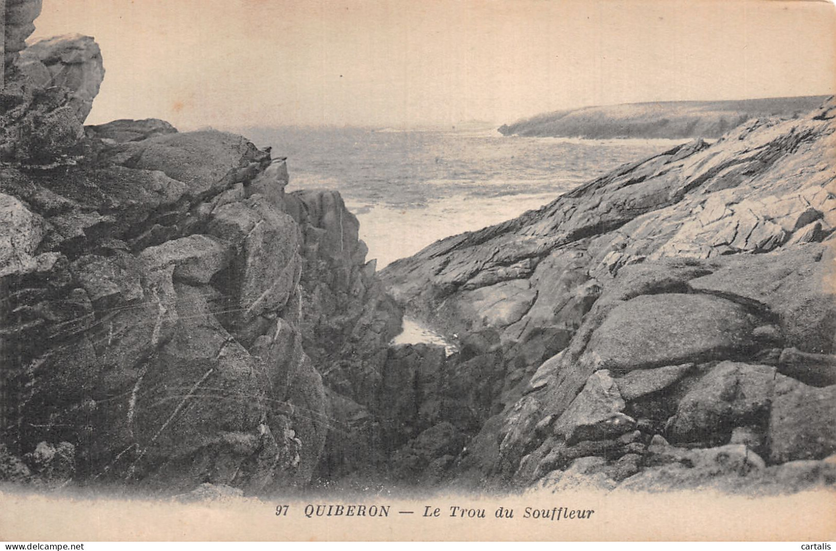 56-QUIBERON-N° 4449-E/0141 - Quiberon