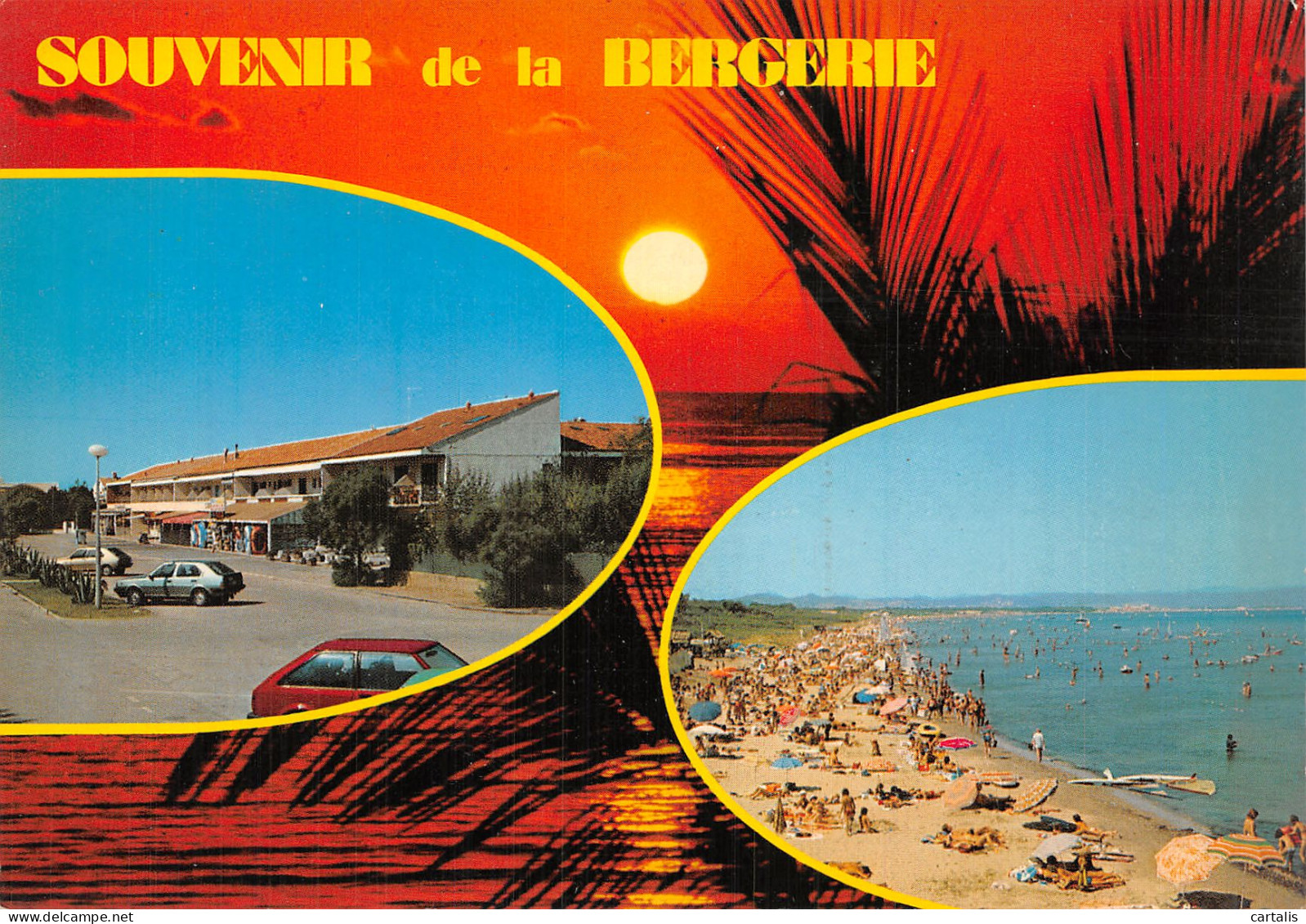 83-HYERES LES PALMIERS-N° 4450-D/0245 - Hyeres