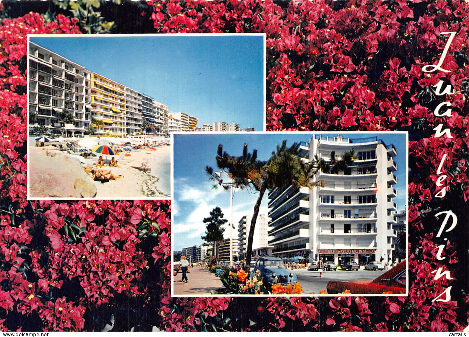 06-JUAN LES PINS-N° 4450-D/0129 - Juan-les-Pins