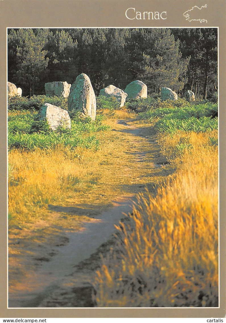 56-CARNAC -N° 4450-C/0173 - Carnac