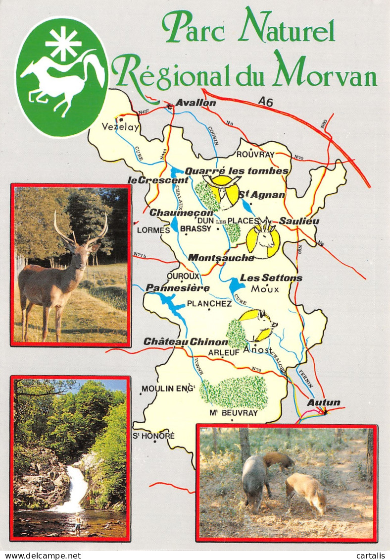 58-PARC REGIONAL DU MORVAN-N° 4451-B/0125 - Andere & Zonder Classificatie