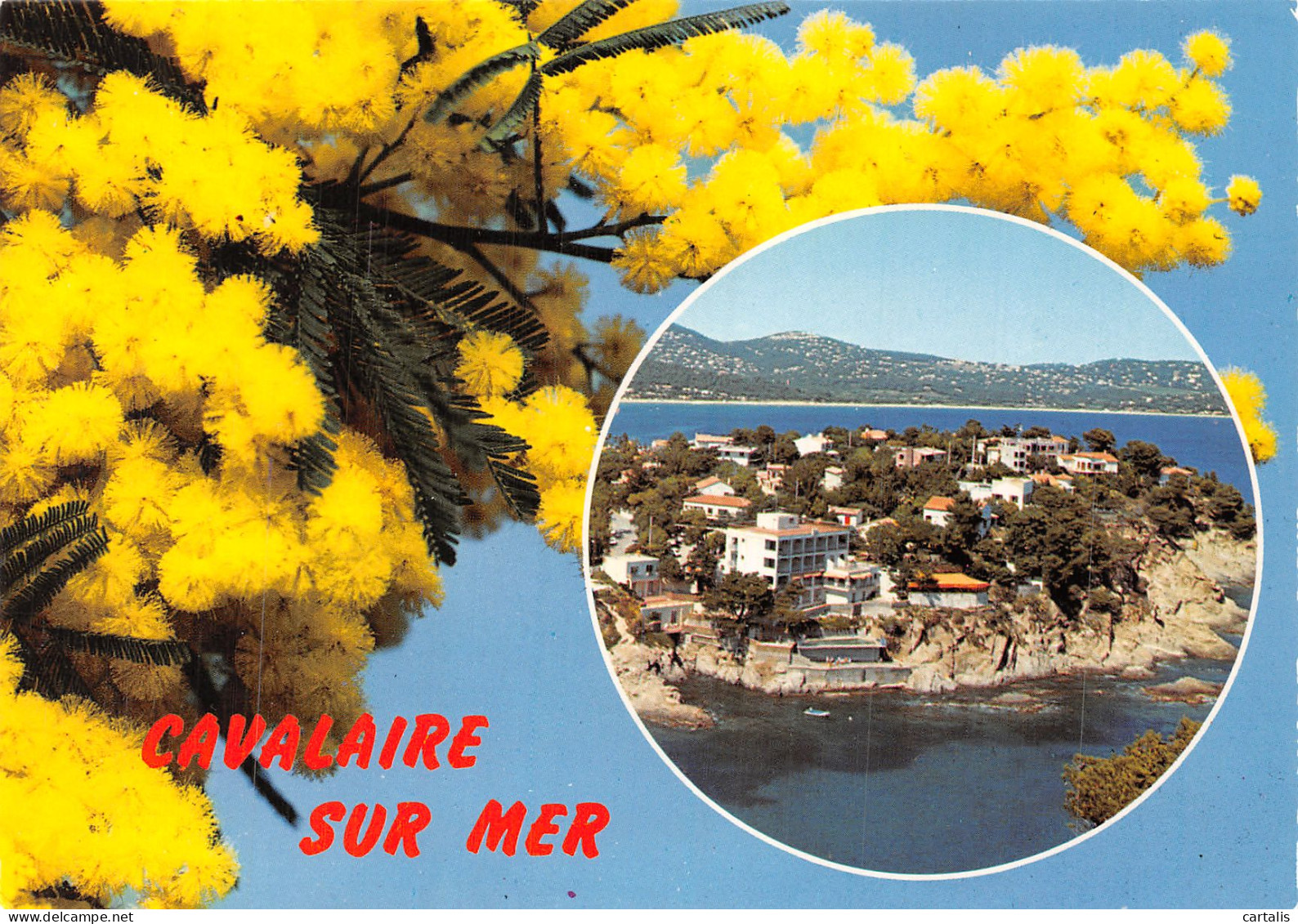 83-CAVALAIRE SUR MER-N° 4451-B/0117 - Cavalaire-sur-Mer