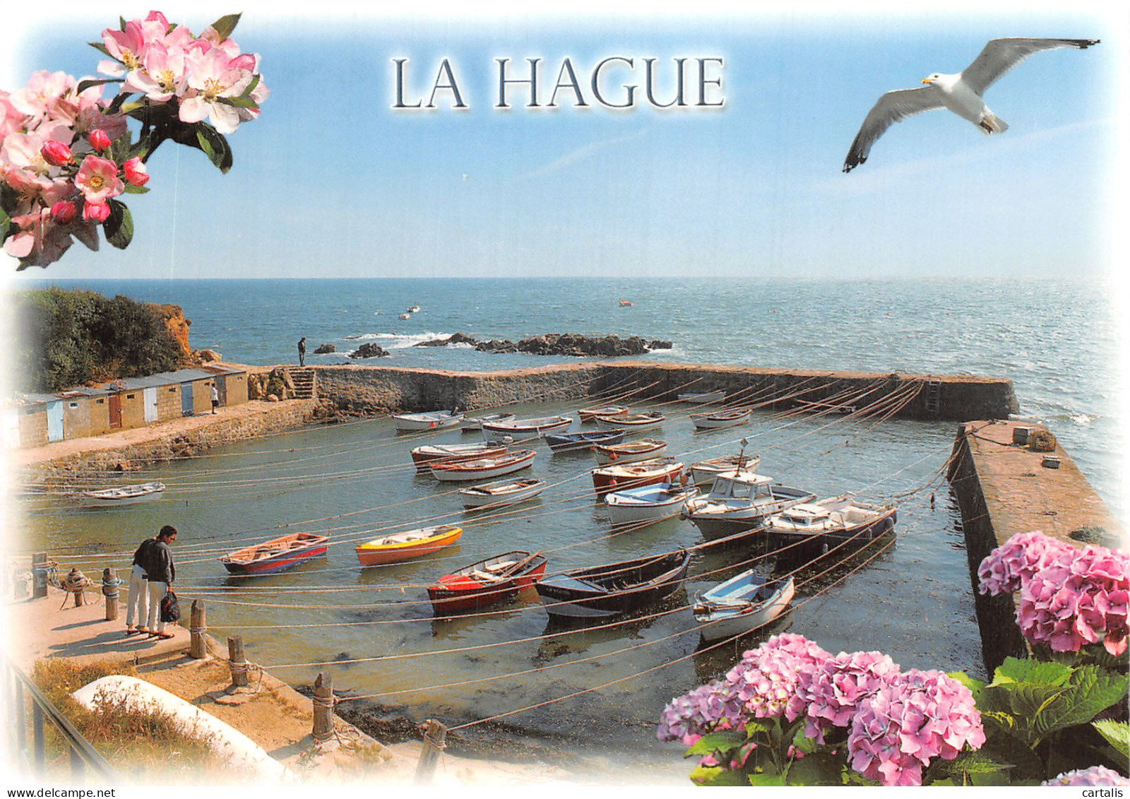 50-LA HAGUE-N° 4451-A/0213 - Other & Unclassified