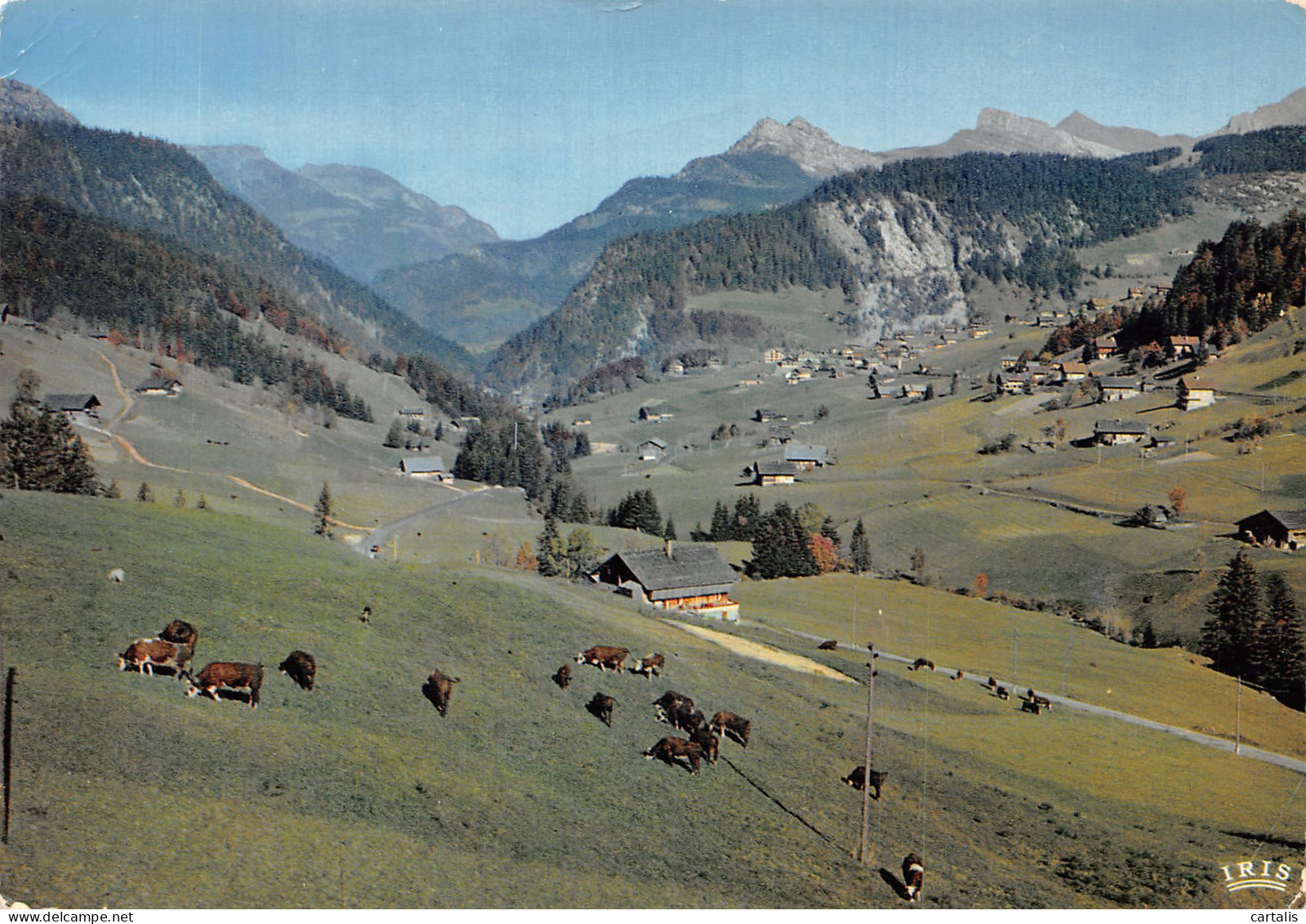 74-LA CLUSAZ-N° 4451-A/0089 - La Clusaz