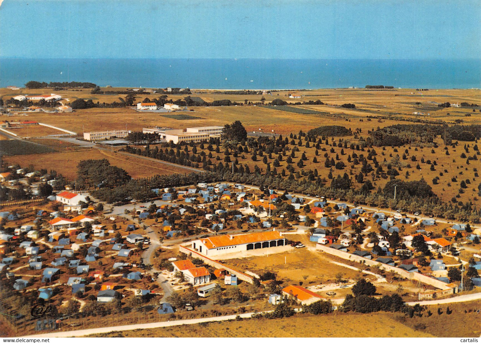 17-ILE DE RE-N° 4451-D/0299 - Ile De Ré